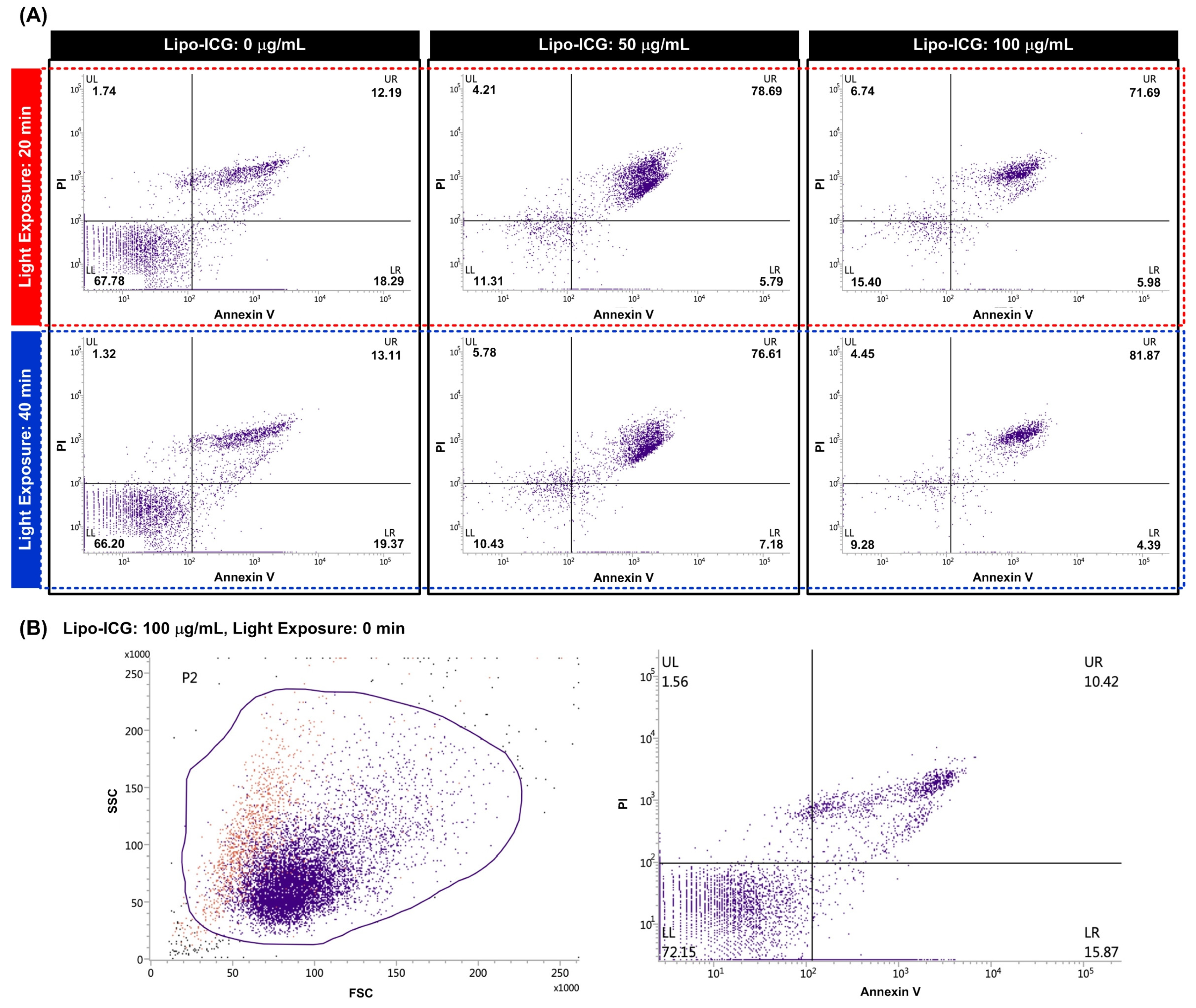 Pharmaceutics 16 00224 g005