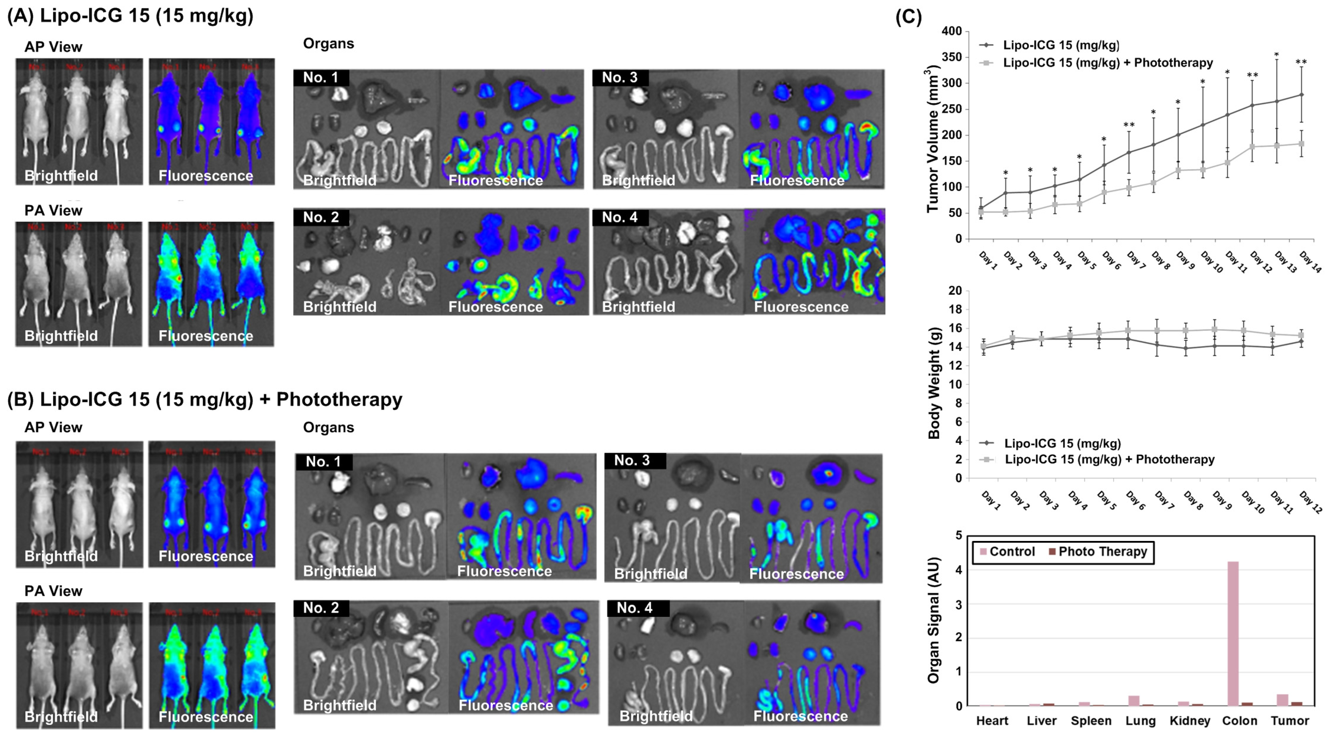Pharmaceutics 16 00224 g007