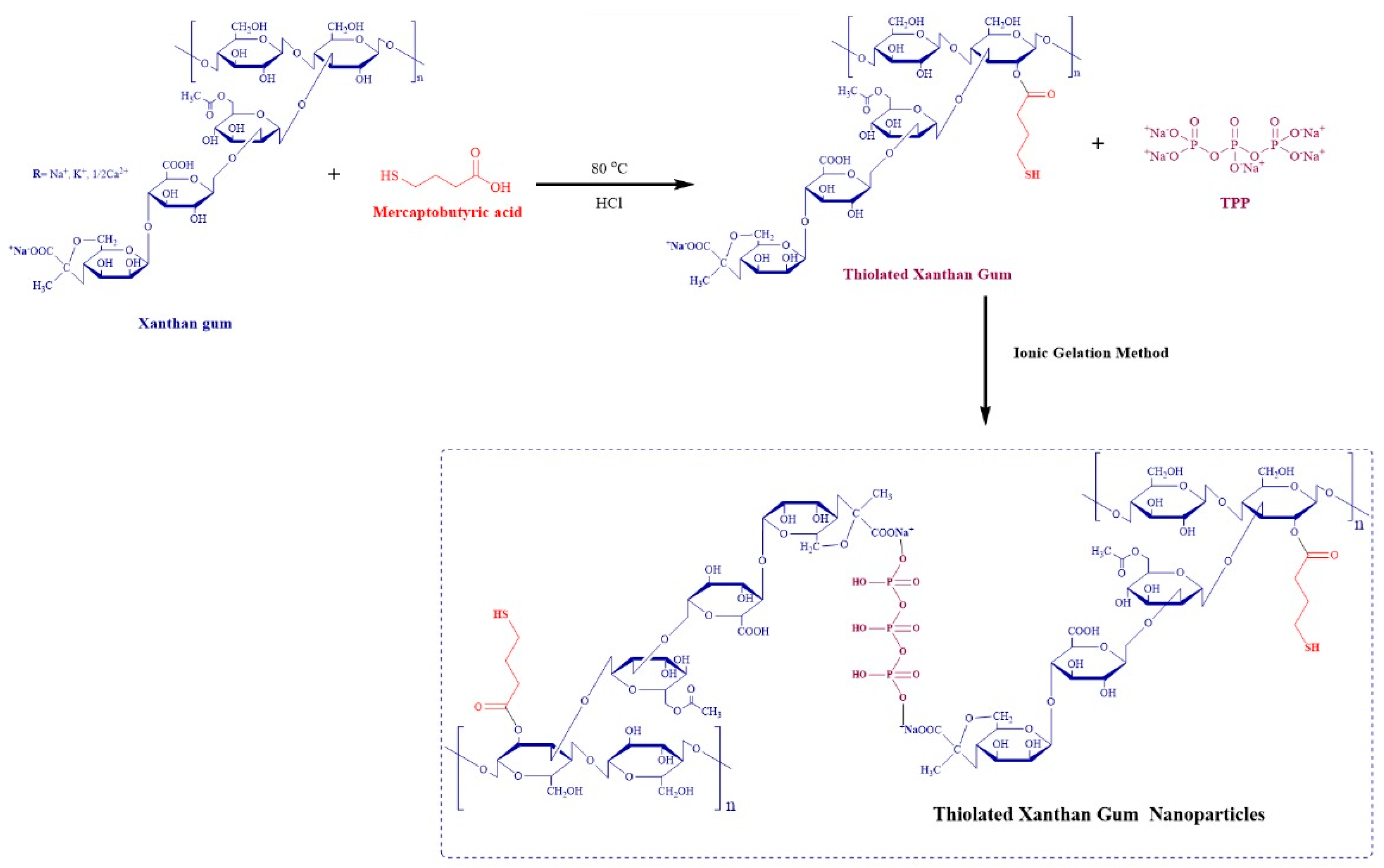 Pharmaceutics 16 00225 g001
