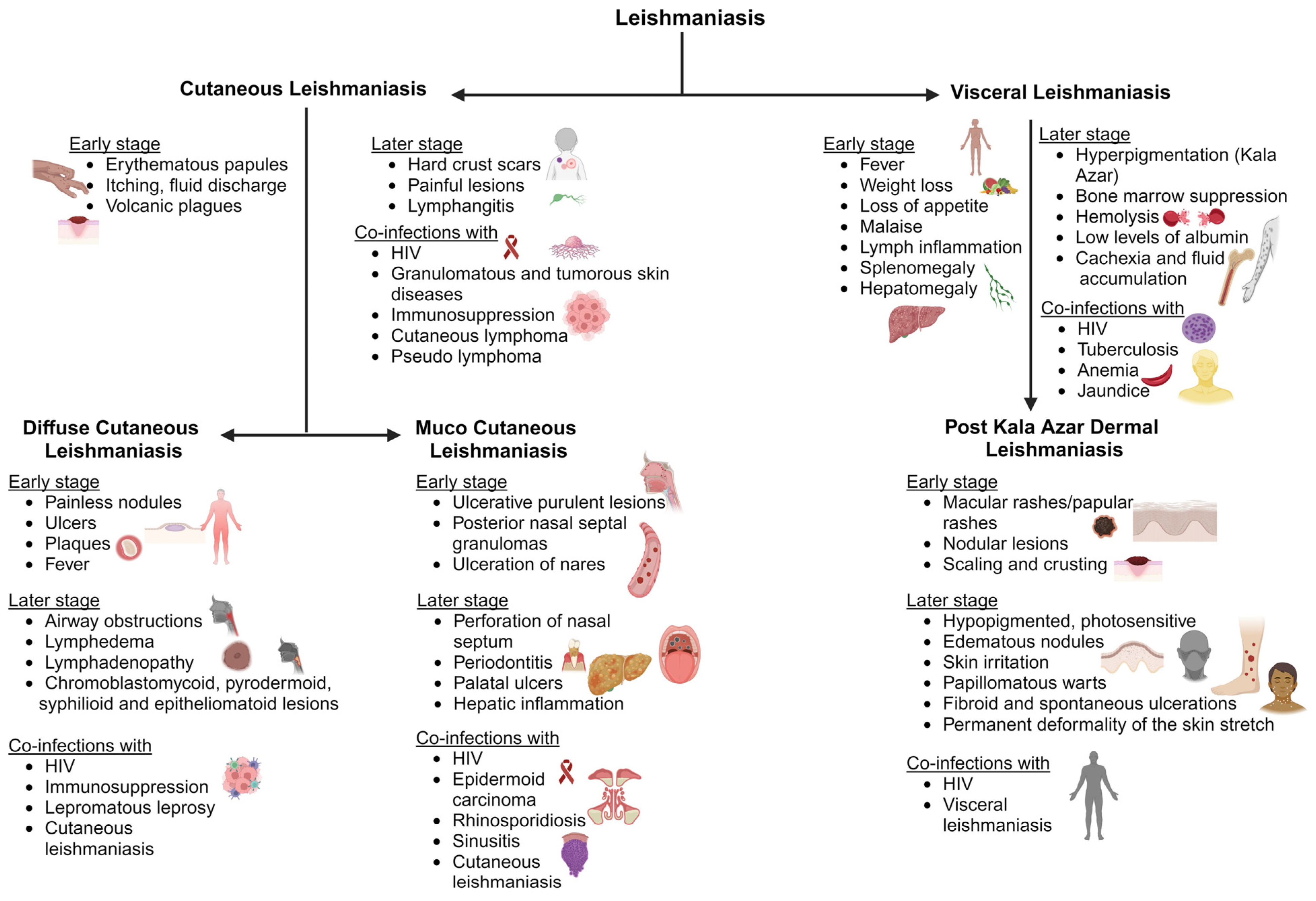 Pharmaceutics 16 00227 g002 Pharmaceutics 16 00227 g002