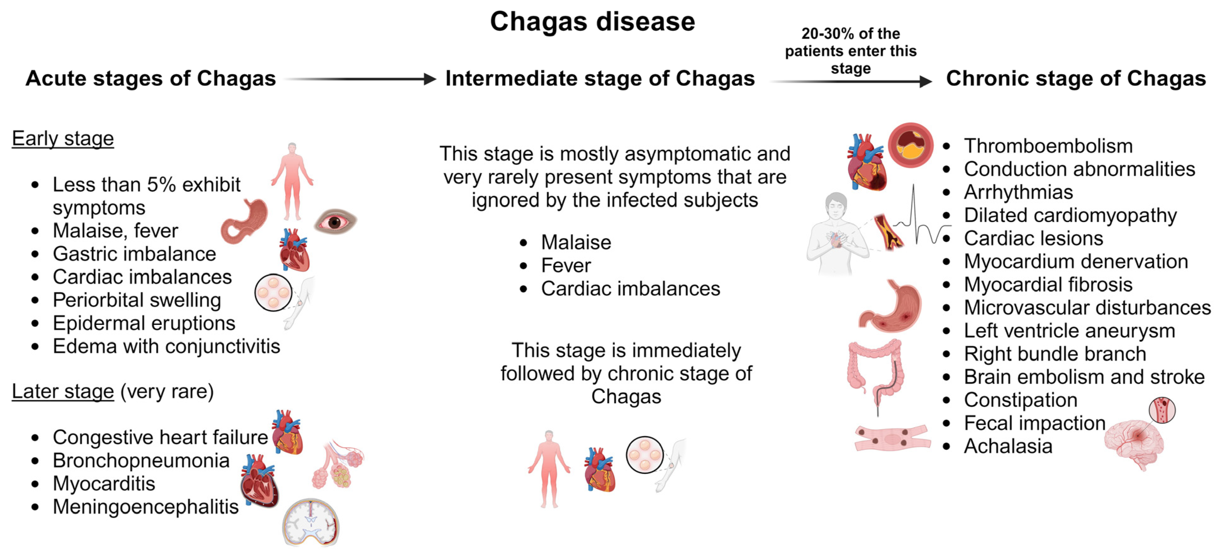 Pharmaceutics 16 00227 g003 Pharmaceutics 16 00227 g003