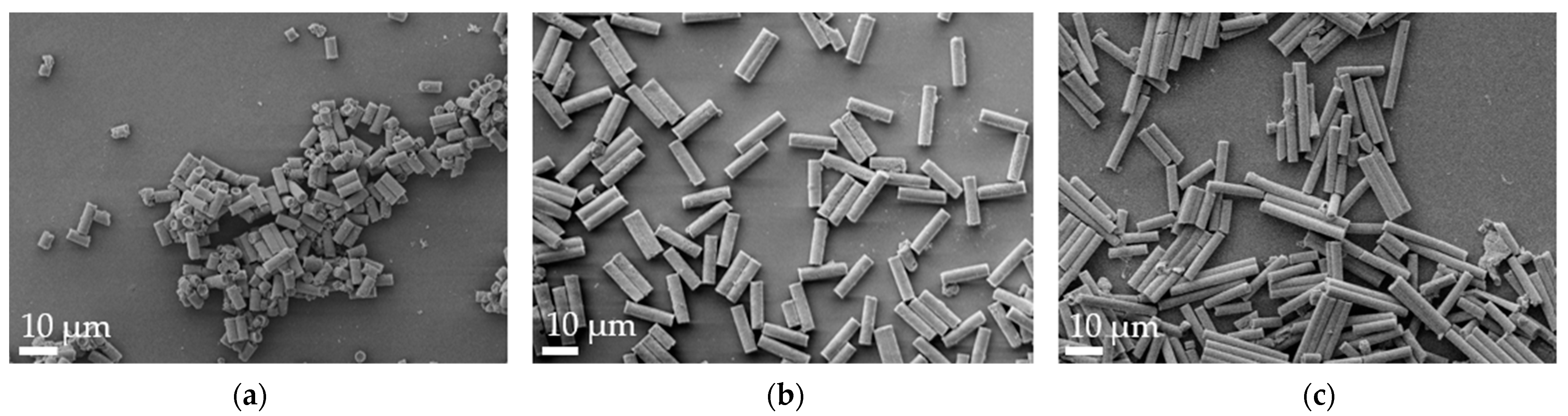 Pharmaceutics 16 00232 g001
