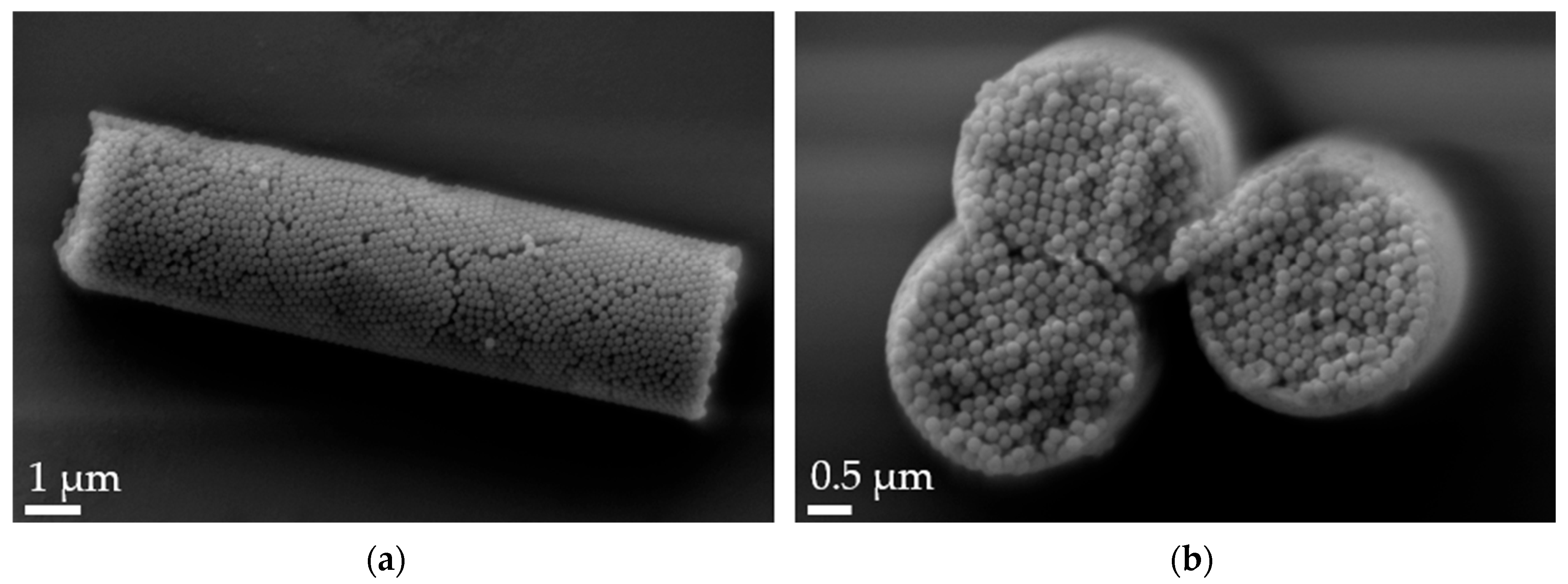 Pharmaceutics 16 00232 g002