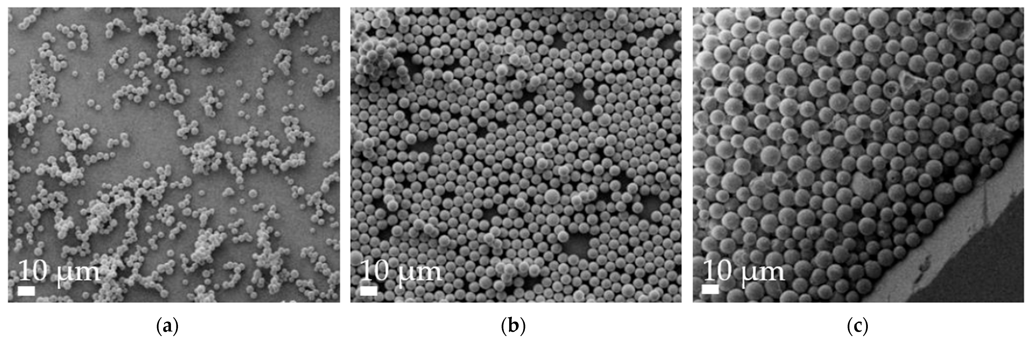 Pharmaceutics 16 00232 g005