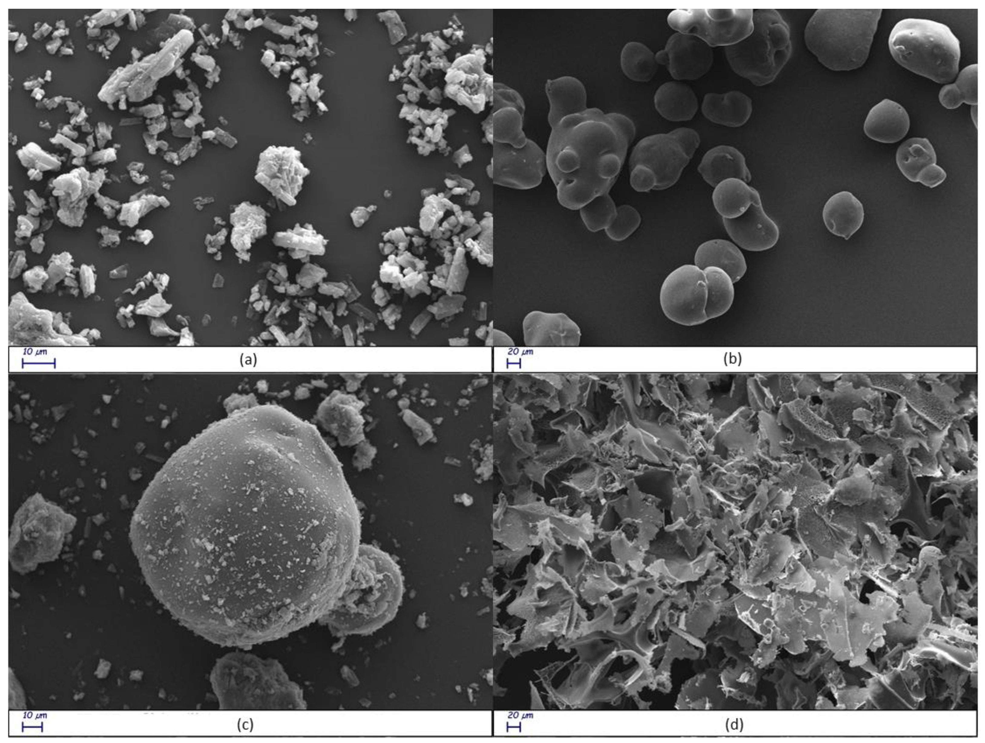 Pharmaceutics 16 00233 g009