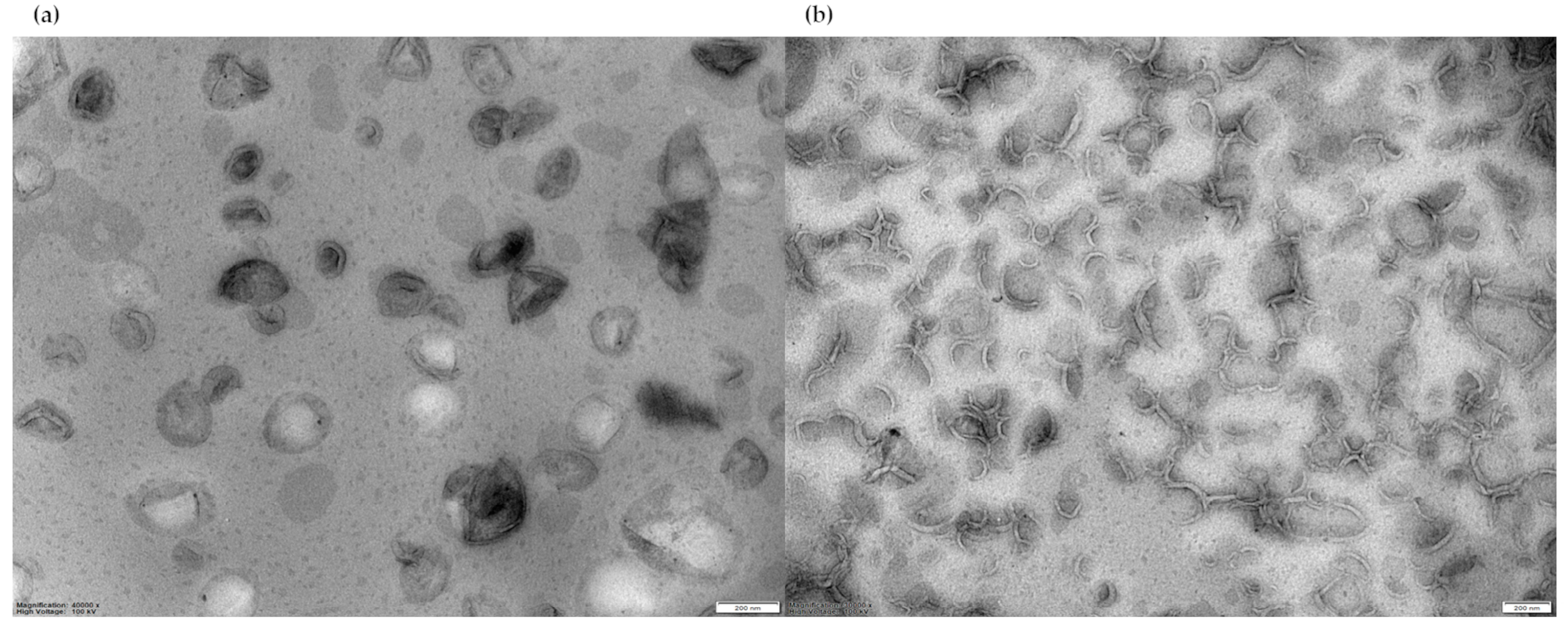 Pharmaceutics 16 00235 g002