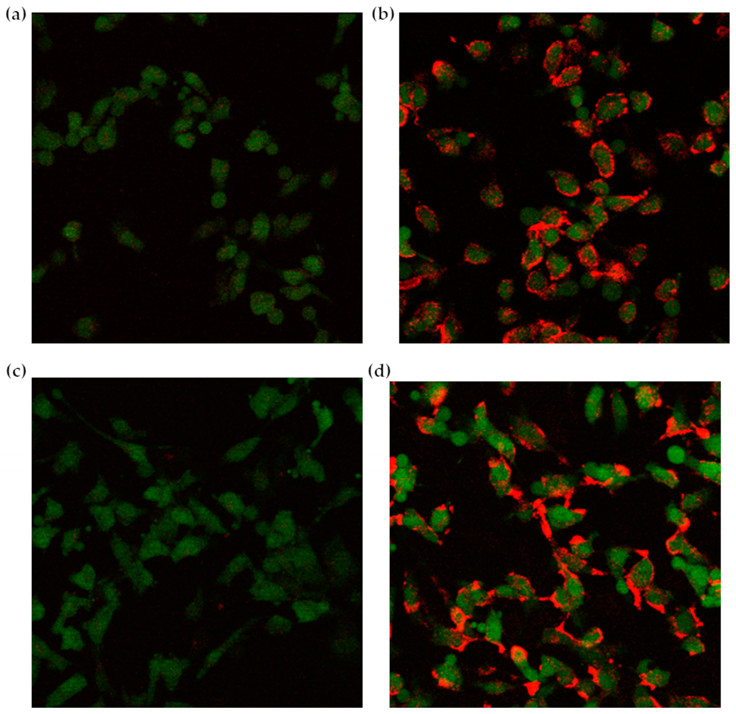 Pharmaceutics 16 00235 g006