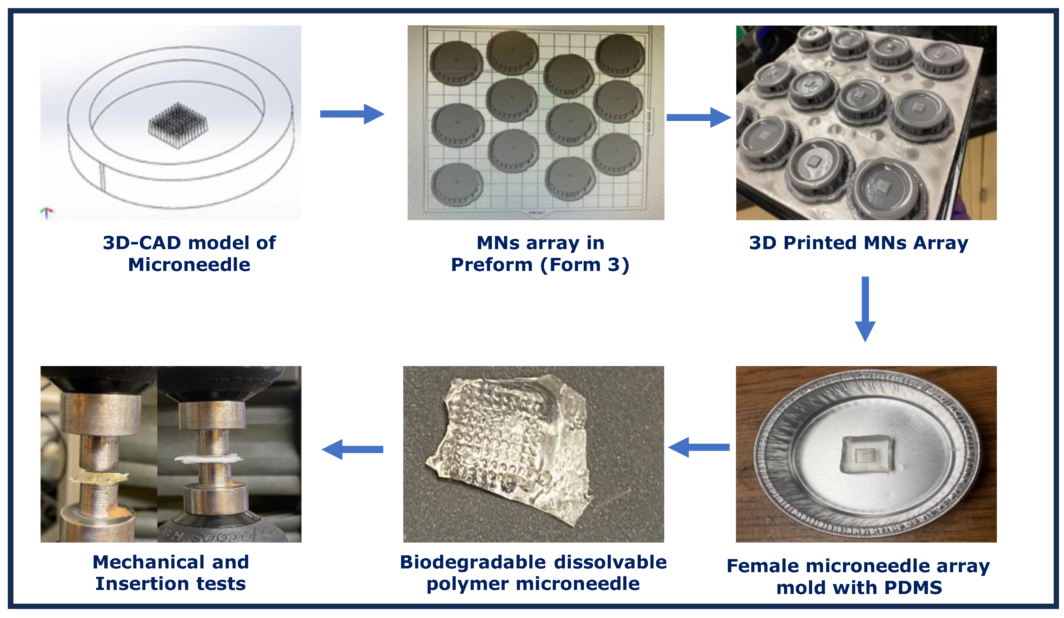 Pharmaceutics 16 00237 g001