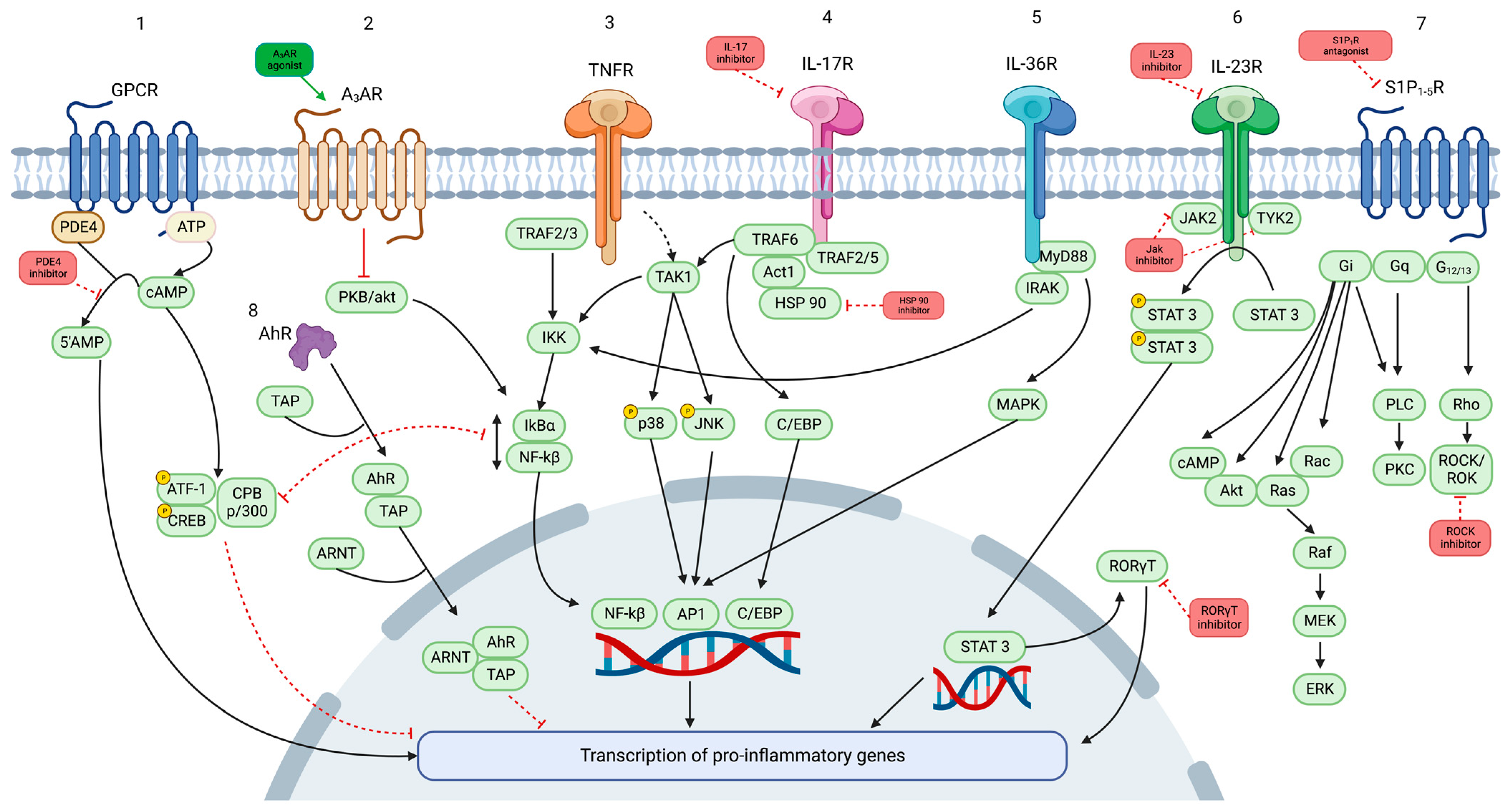 Pharmaceutics 16 00239 g001