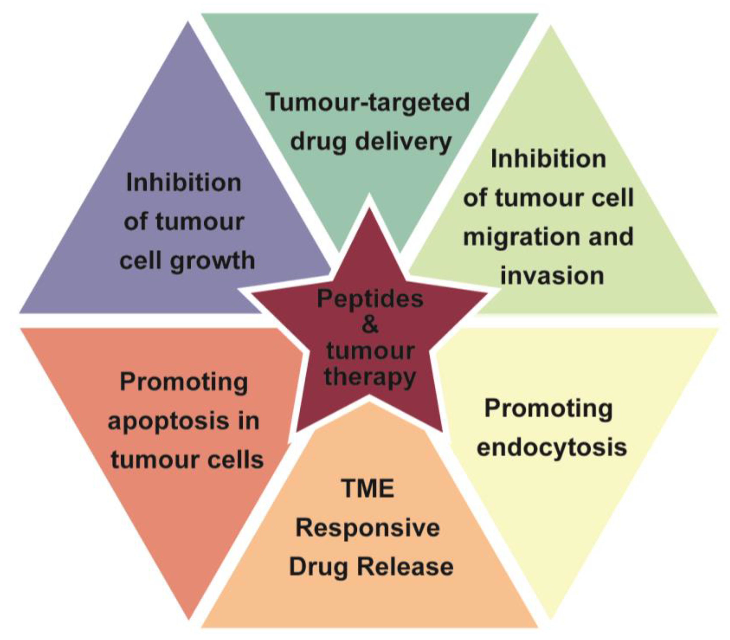 Pharmaceutics 16 00240 g001 Pharmaceutics 16 00240 g001