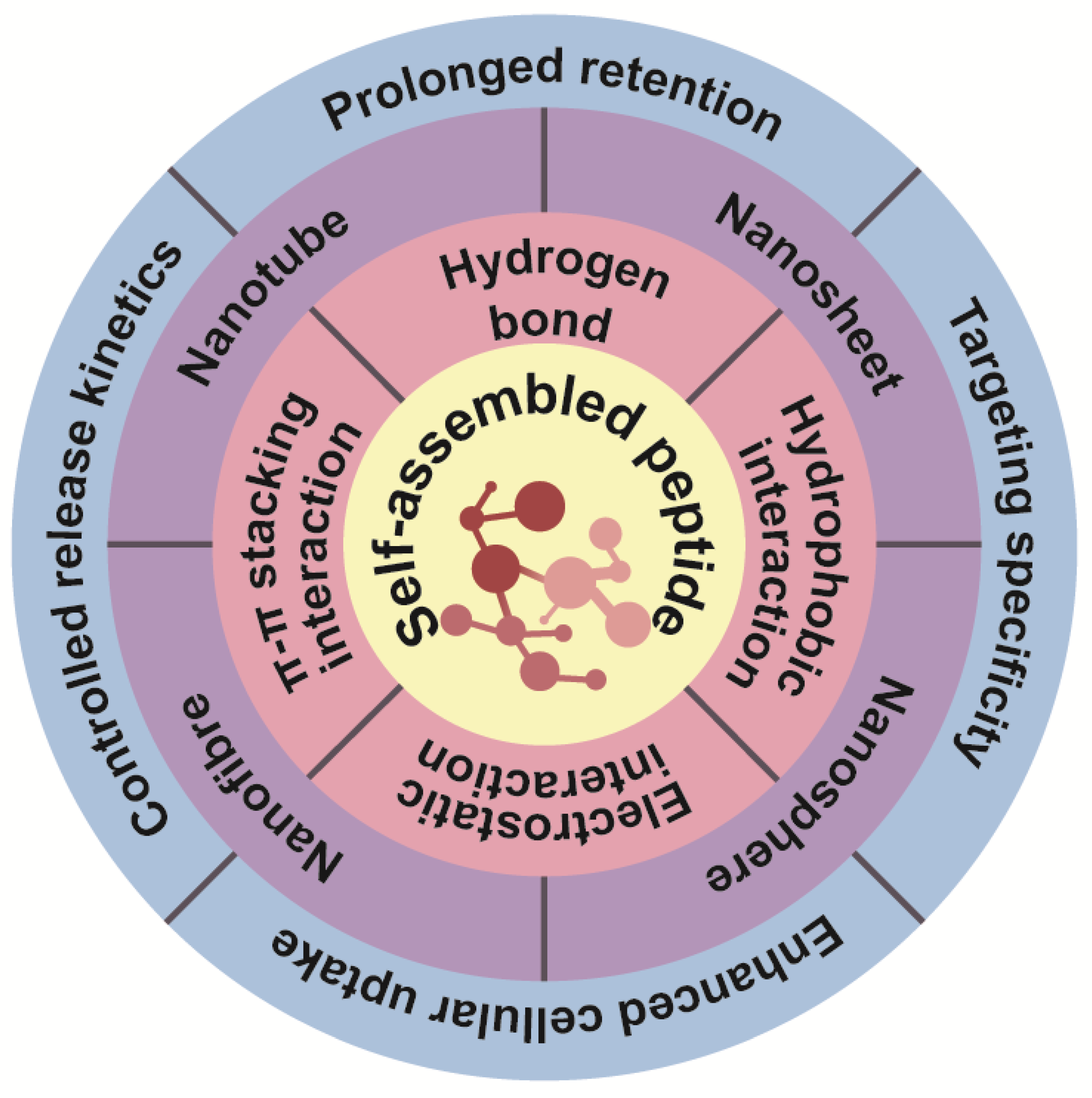 Pharmaceutics 16 00240 g002 Pharmaceutics 16 00240 g002