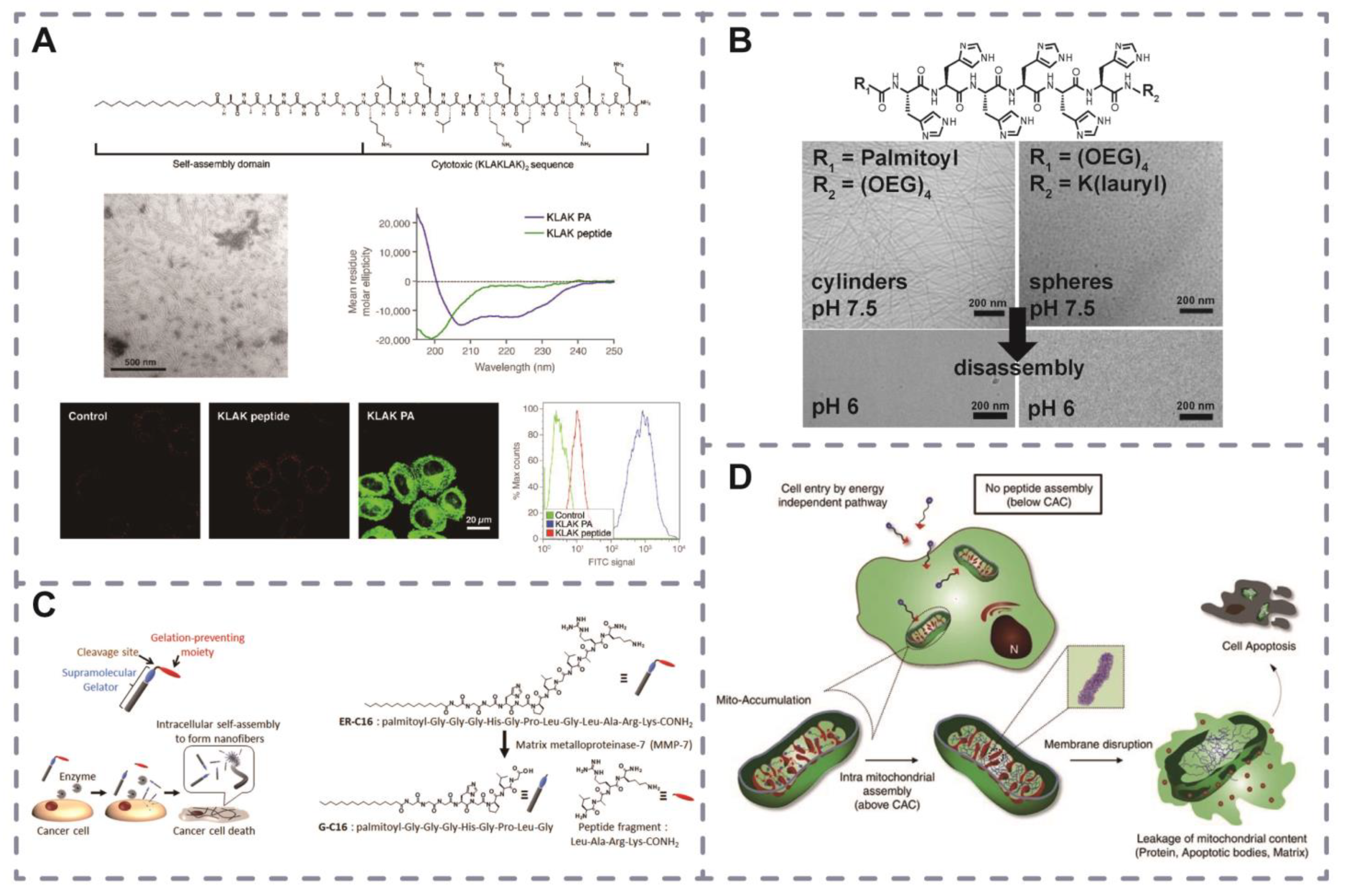 Pharmaceutics 16 00240 g004 Pharmaceutics 16 00240 g004
