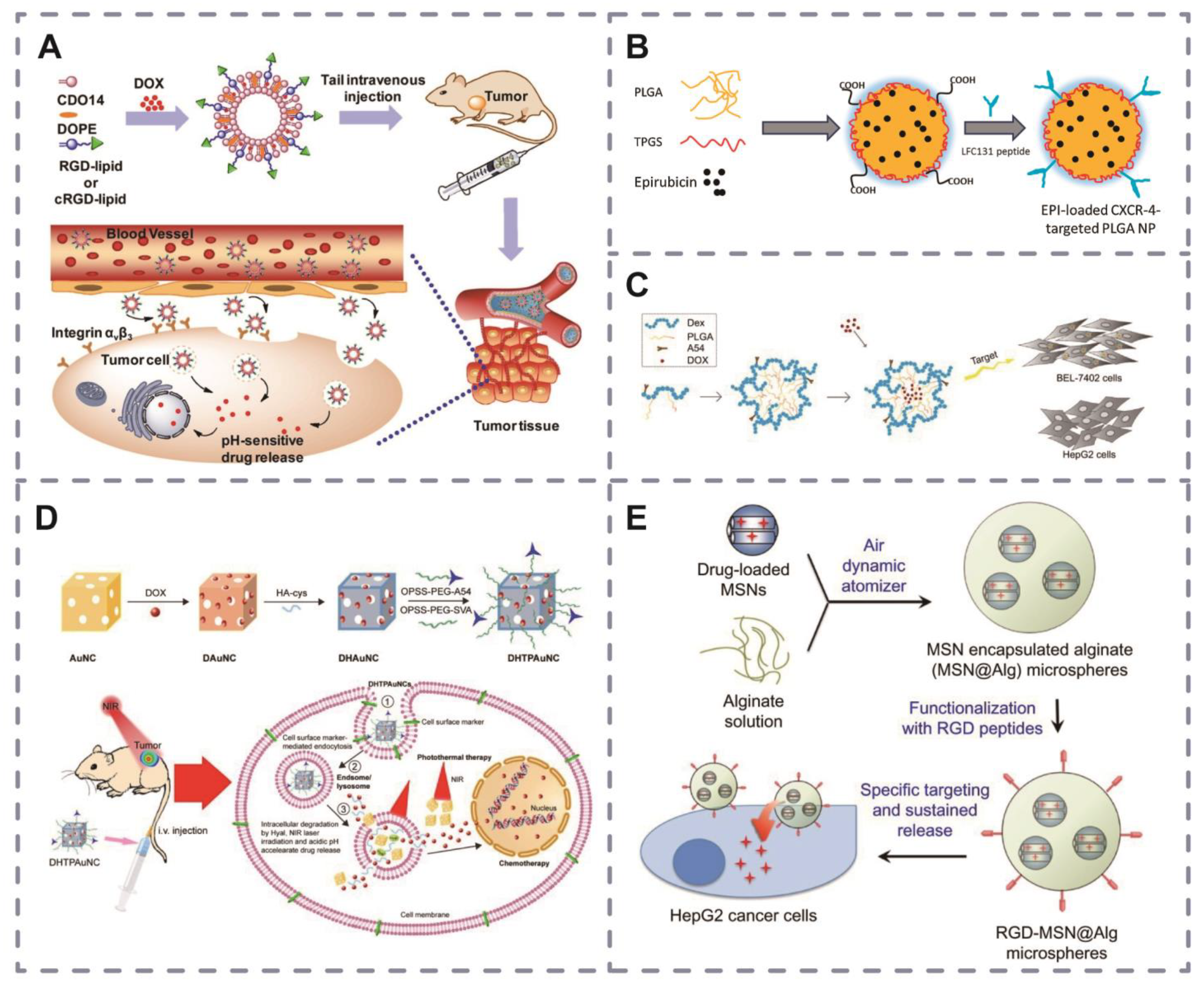 Pharmaceutics 16 00240 g005 Pharmaceutics 16 00240 g005