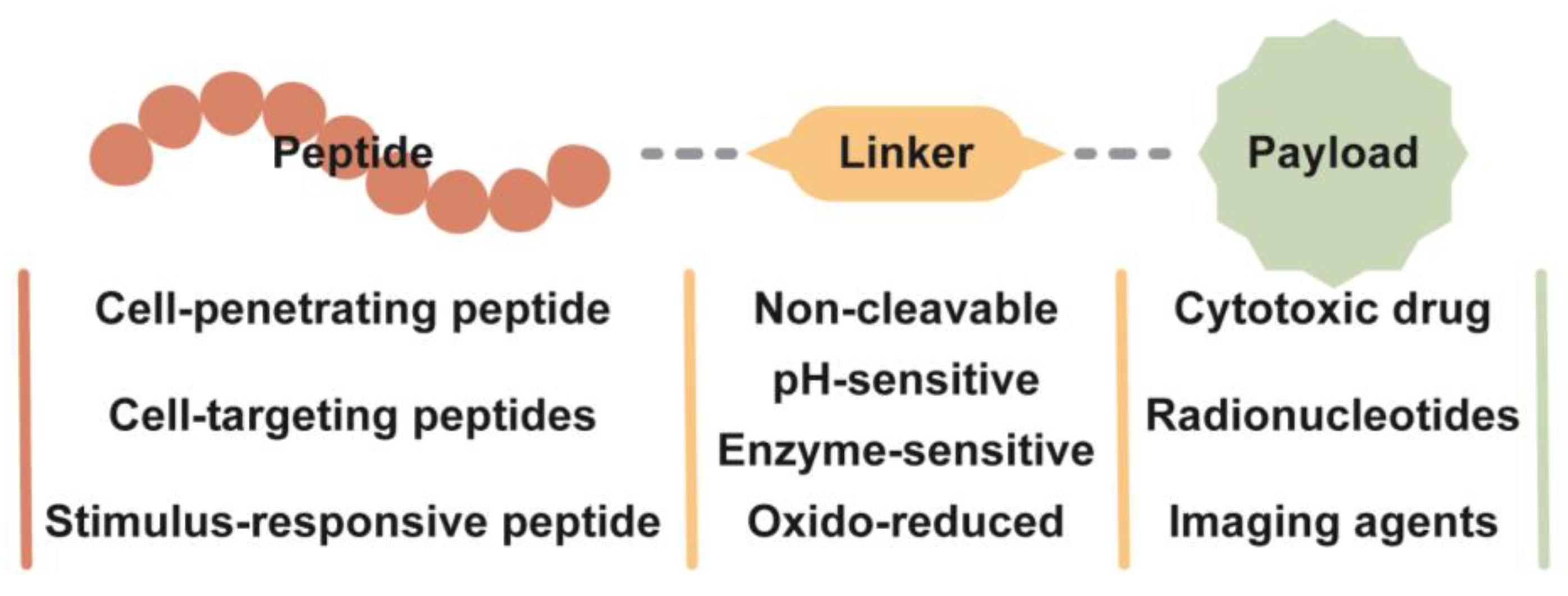 Pharmaceutics 16 00240 g006 Pharmaceutics 16 00240 g006