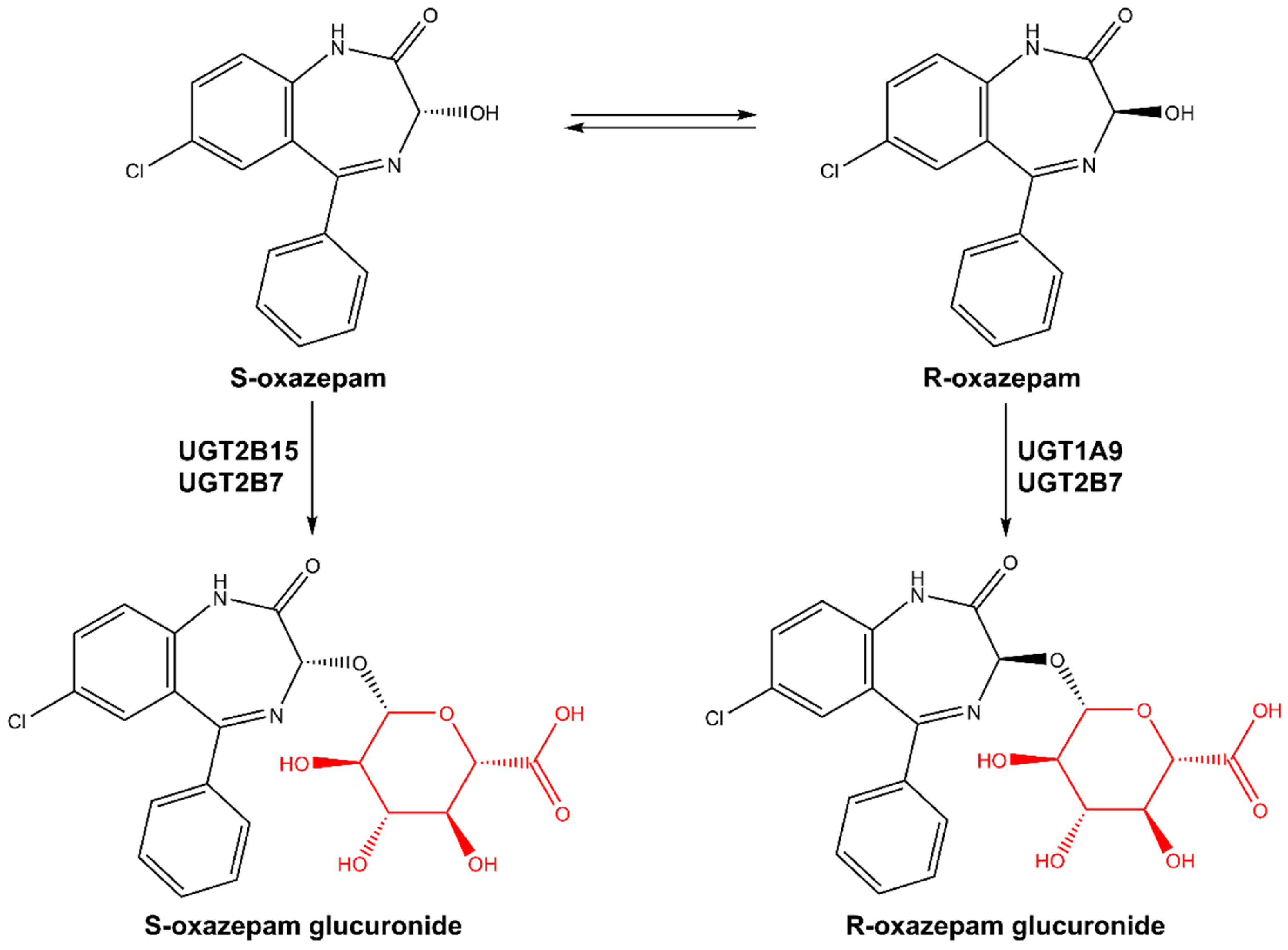 Pharmaceutics 16 00243 g001