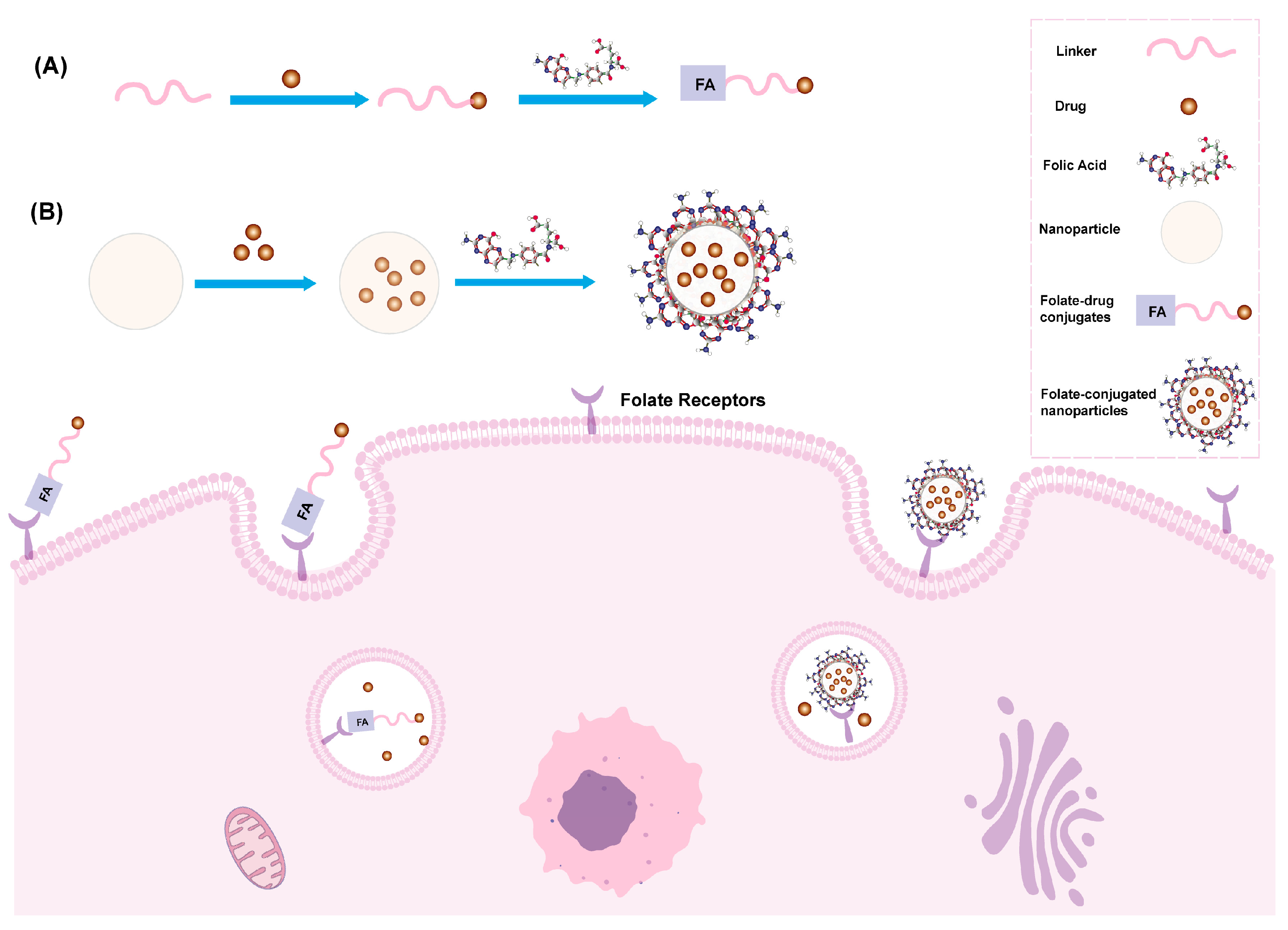 Pharmaceutics 16 00248 g002 Pharmaceutics 16 00248 g002