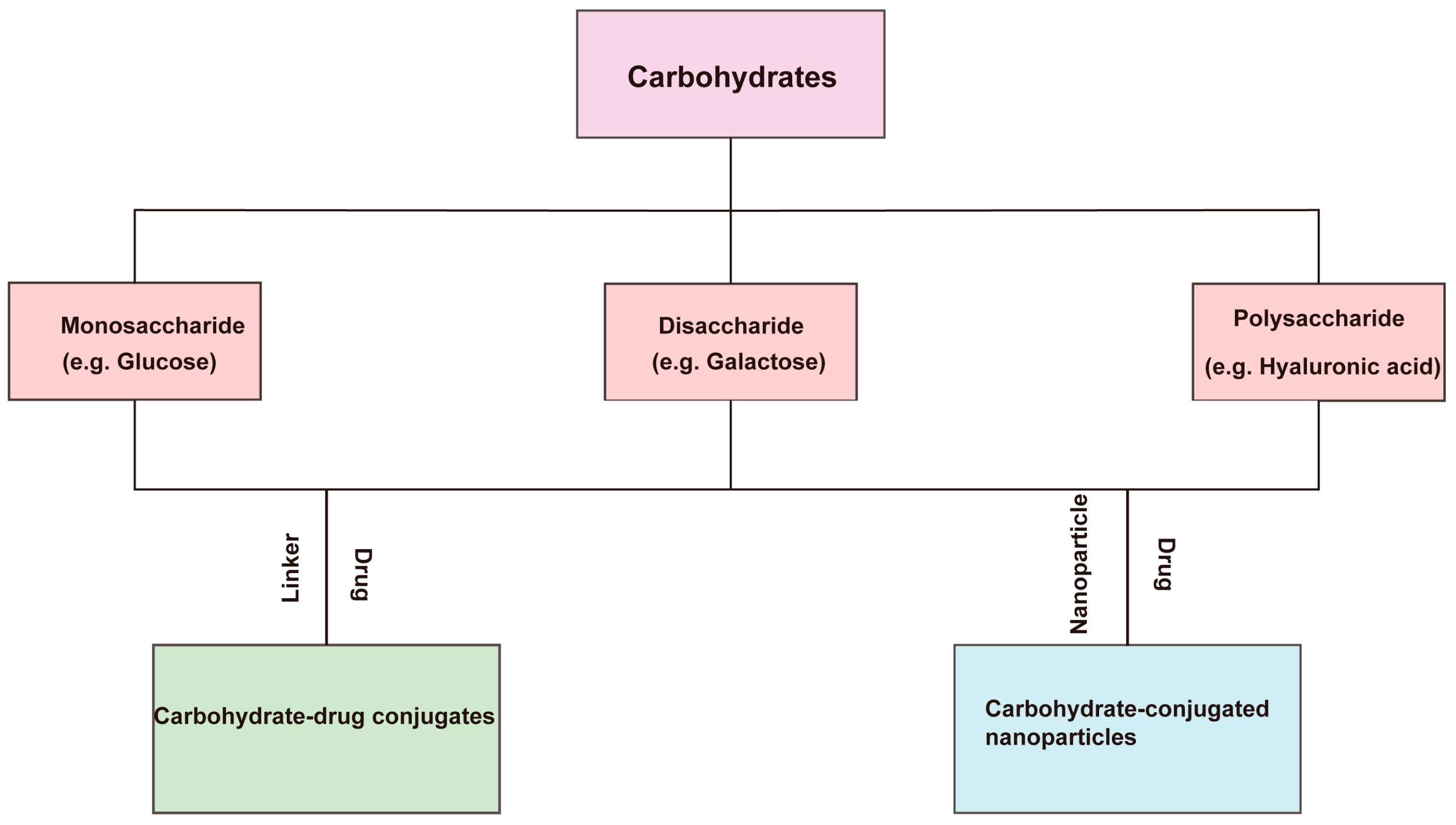 Pharmaceutics 16 00248 g003 Pharmaceutics 16 00248 g003
