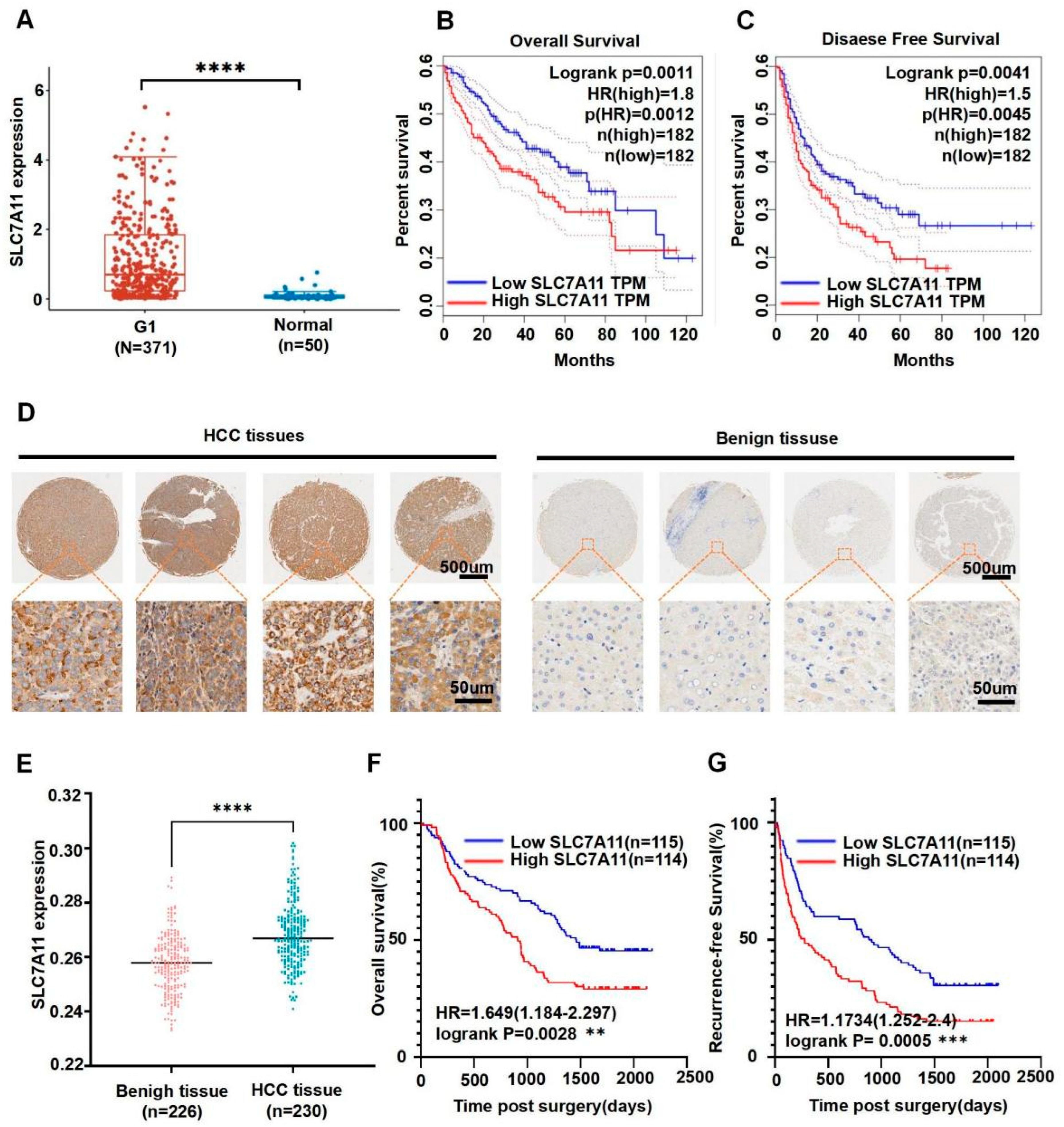 Pharmaceutics 16 00249 g001
