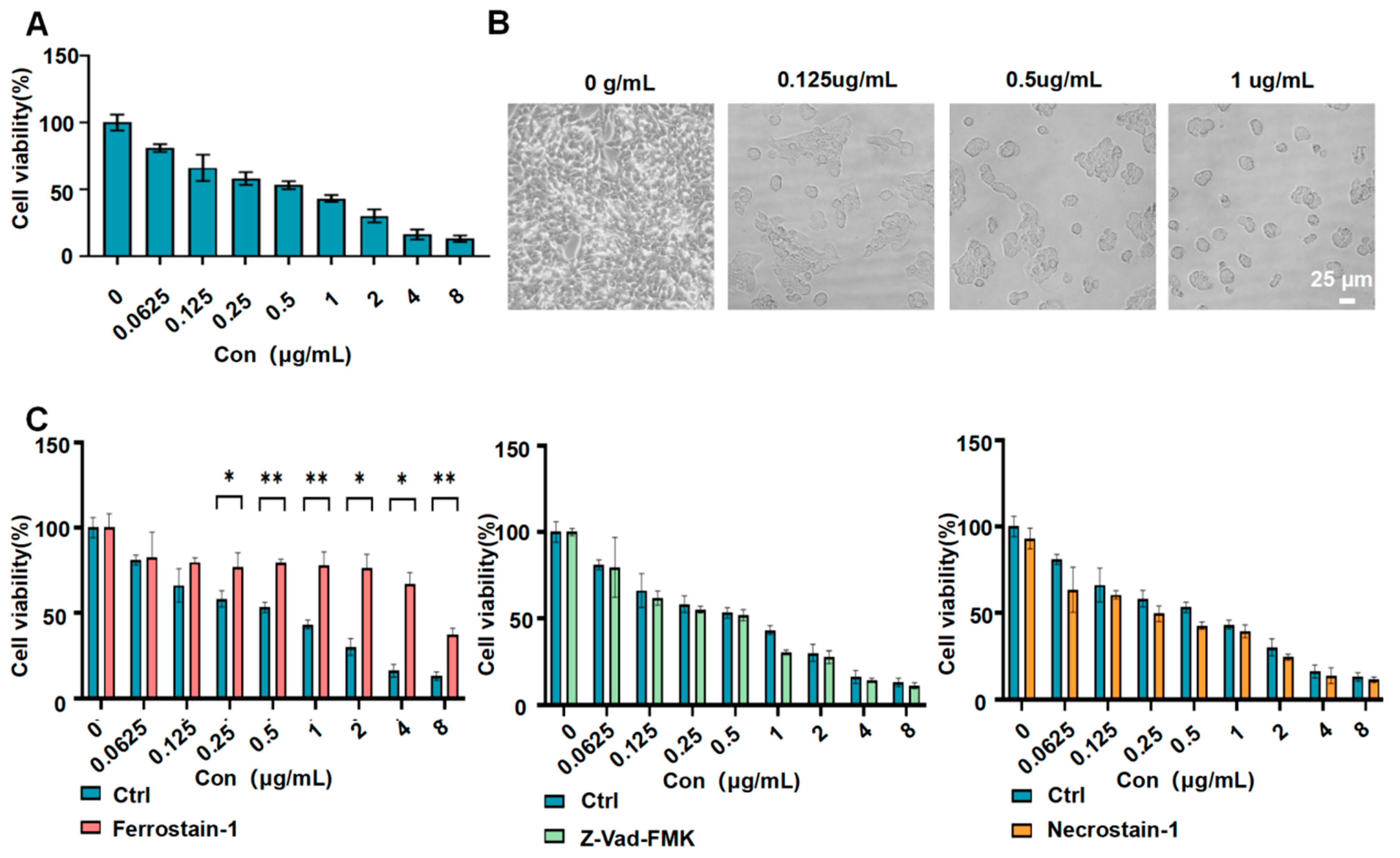 Pharmaceutics 16 00249 g003