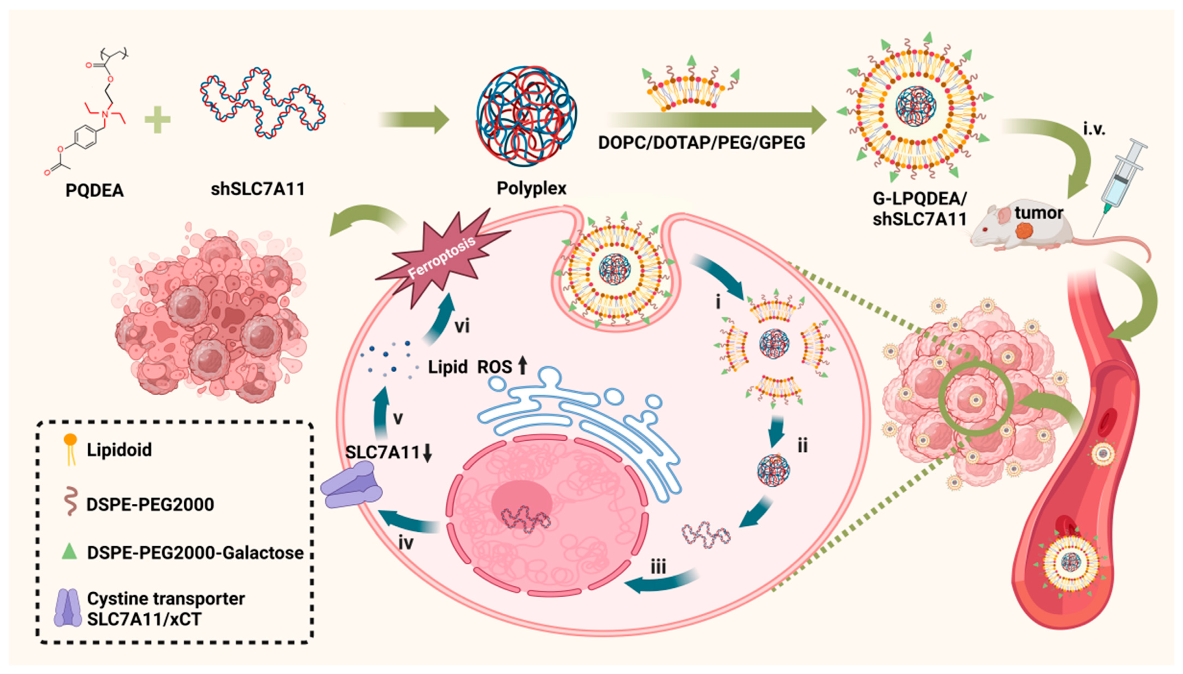 Pharmaceutics 16 00249 sch001