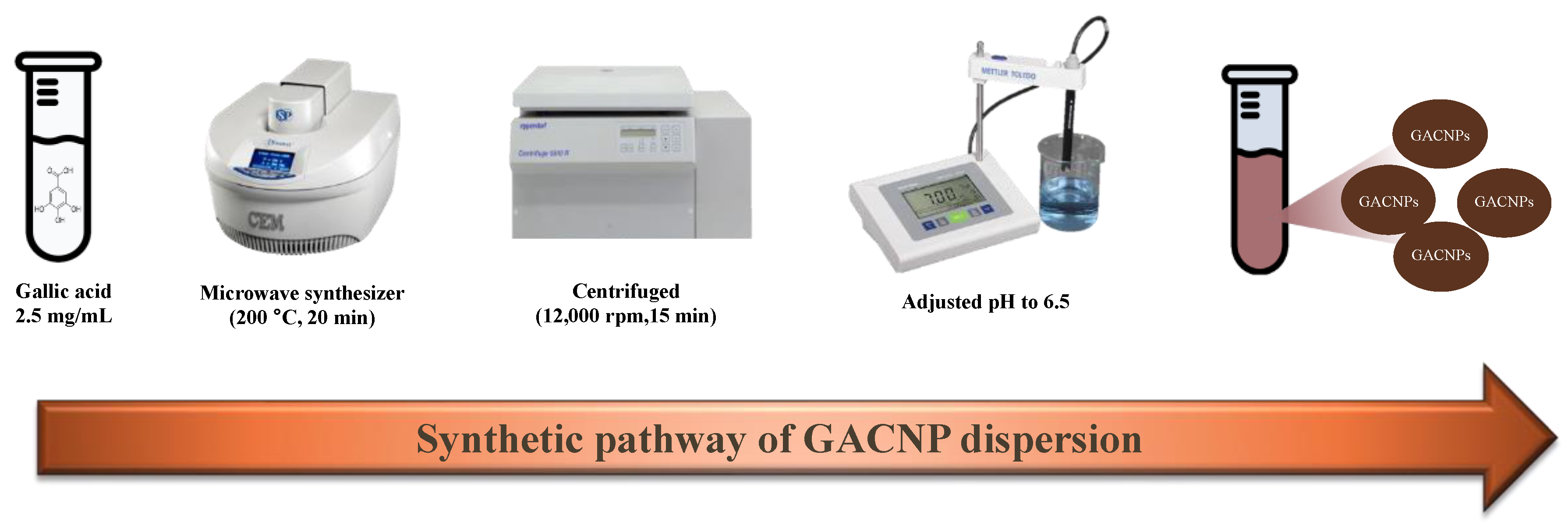 Pharmaceutics 16 00254 g001