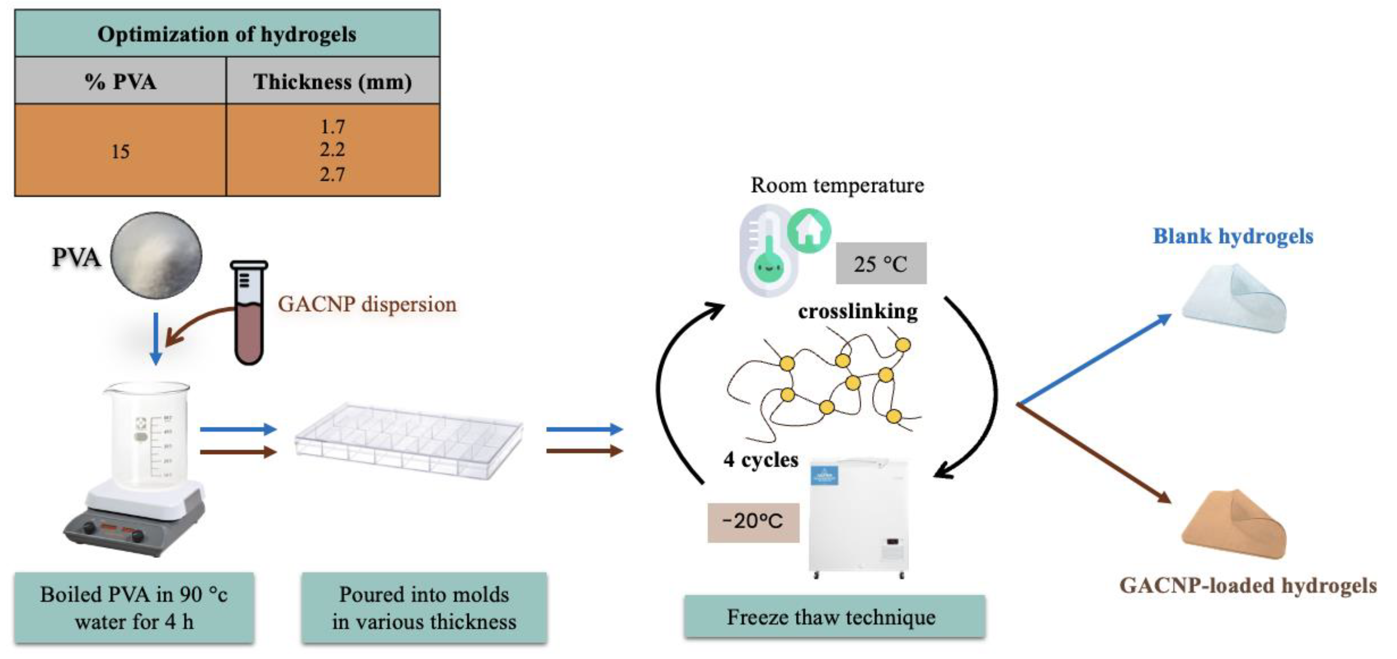 Pharmaceutics 16 00254 g002