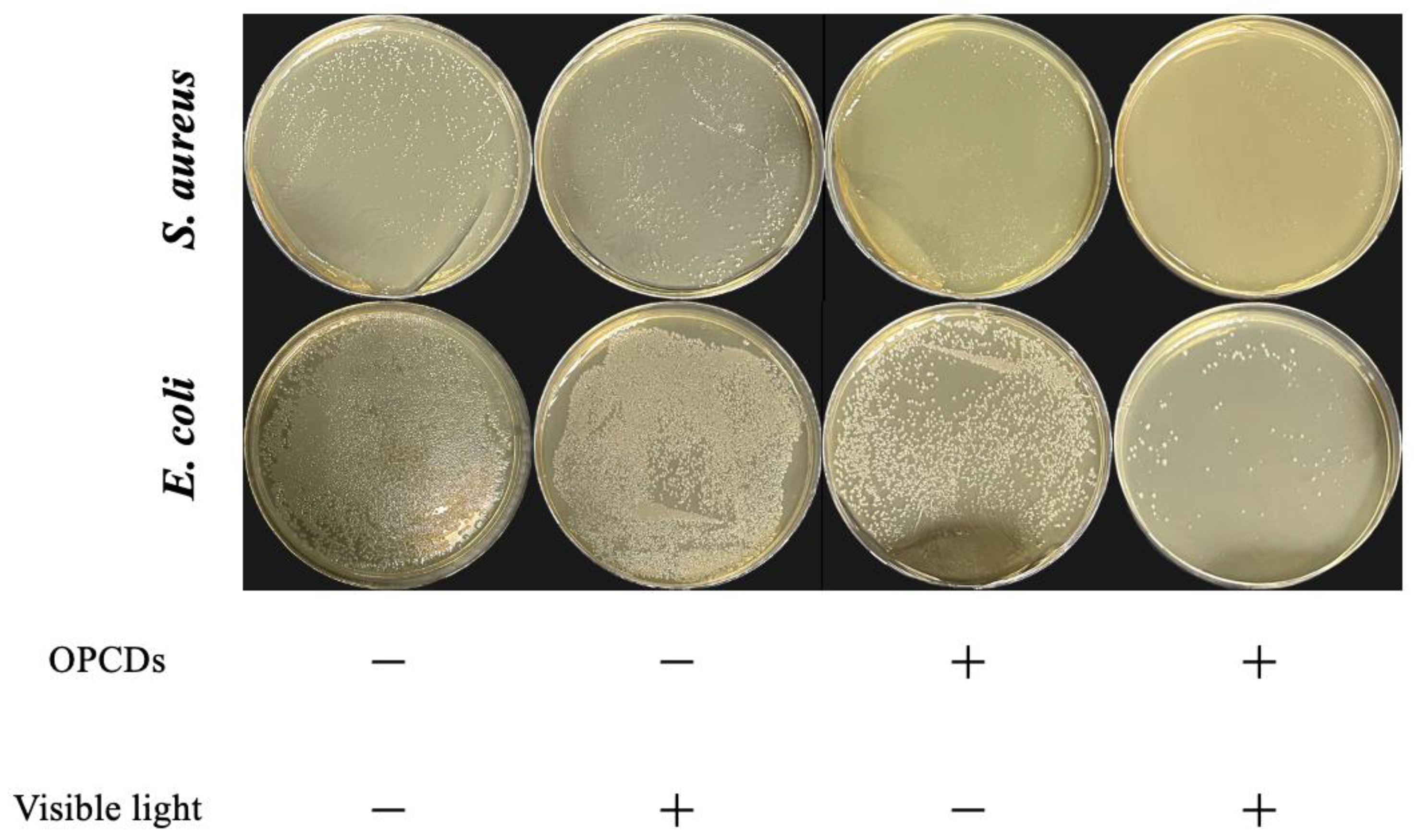 Pharmaceutics 16 00254 g005