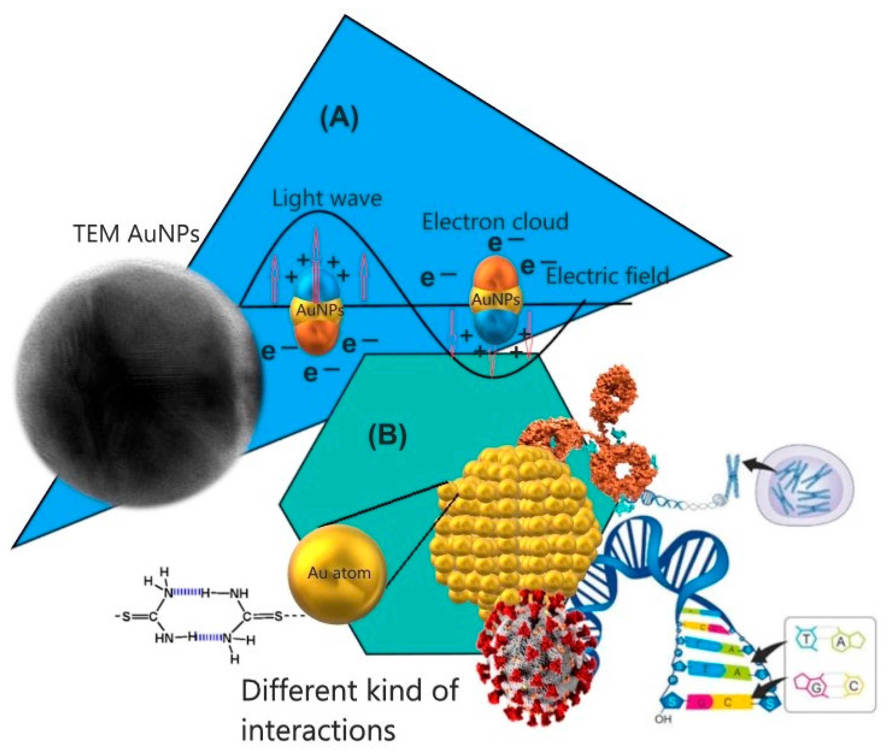 Pharmaceutics 16 00255 g001 Pharmaceutics 16 00255 g001