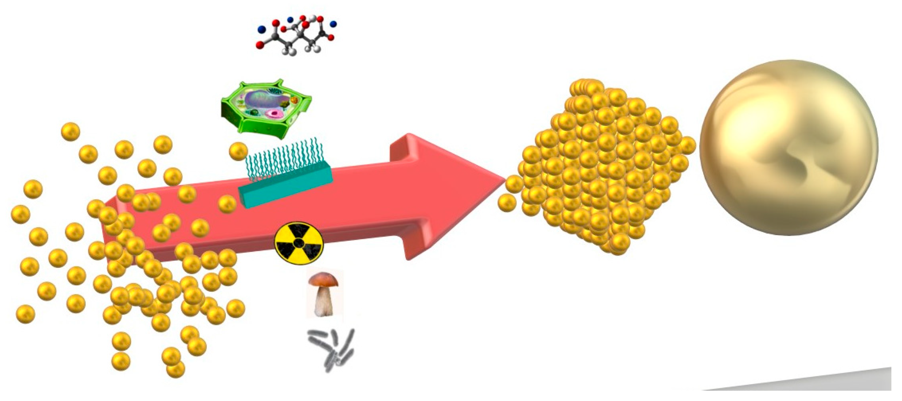 Pharmaceutics 16 00255 g002 Pharmaceutics 16 00255 g002