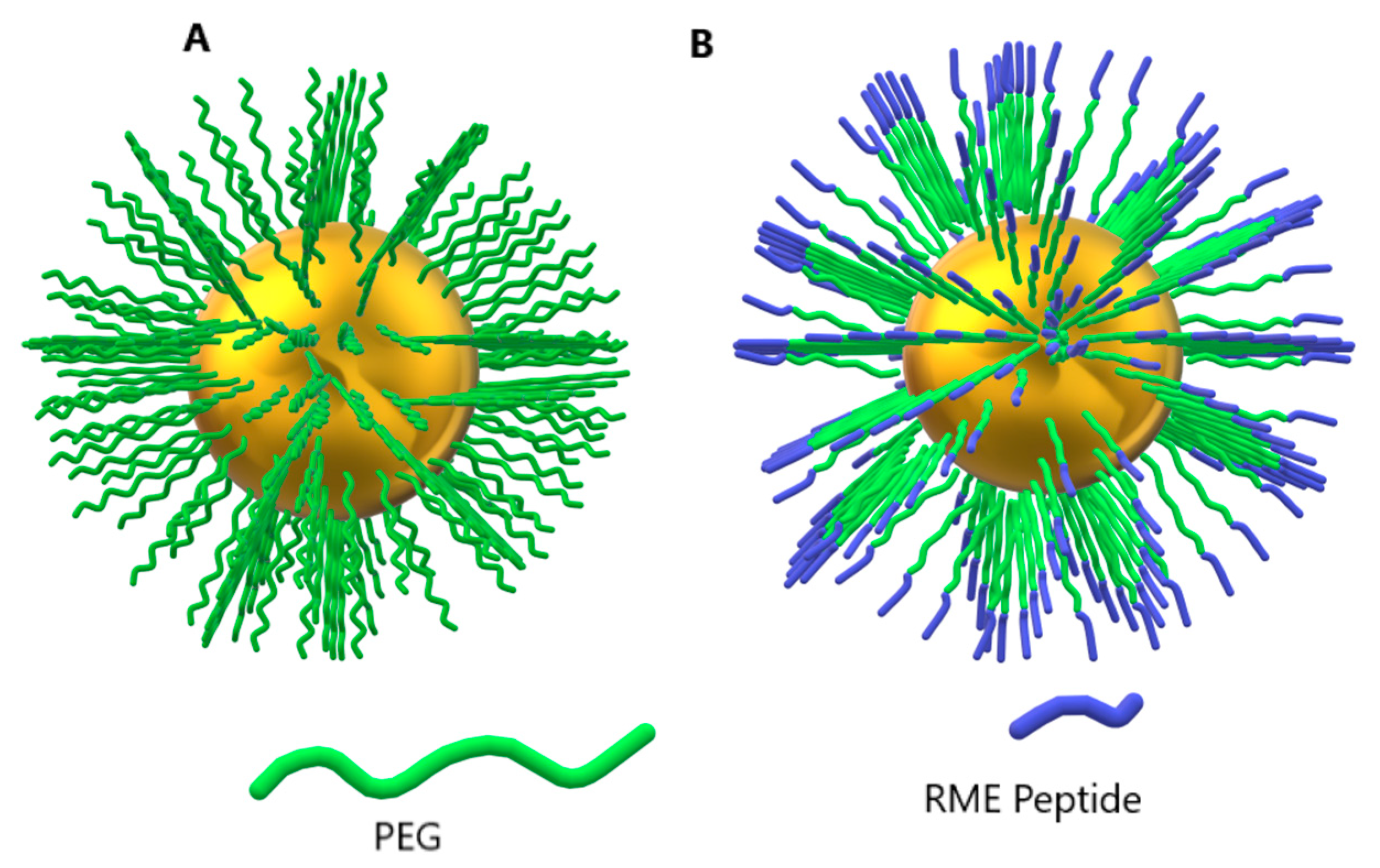 Pharmaceutics 16 00255 g007 Pharmaceutics 16 00255 g007