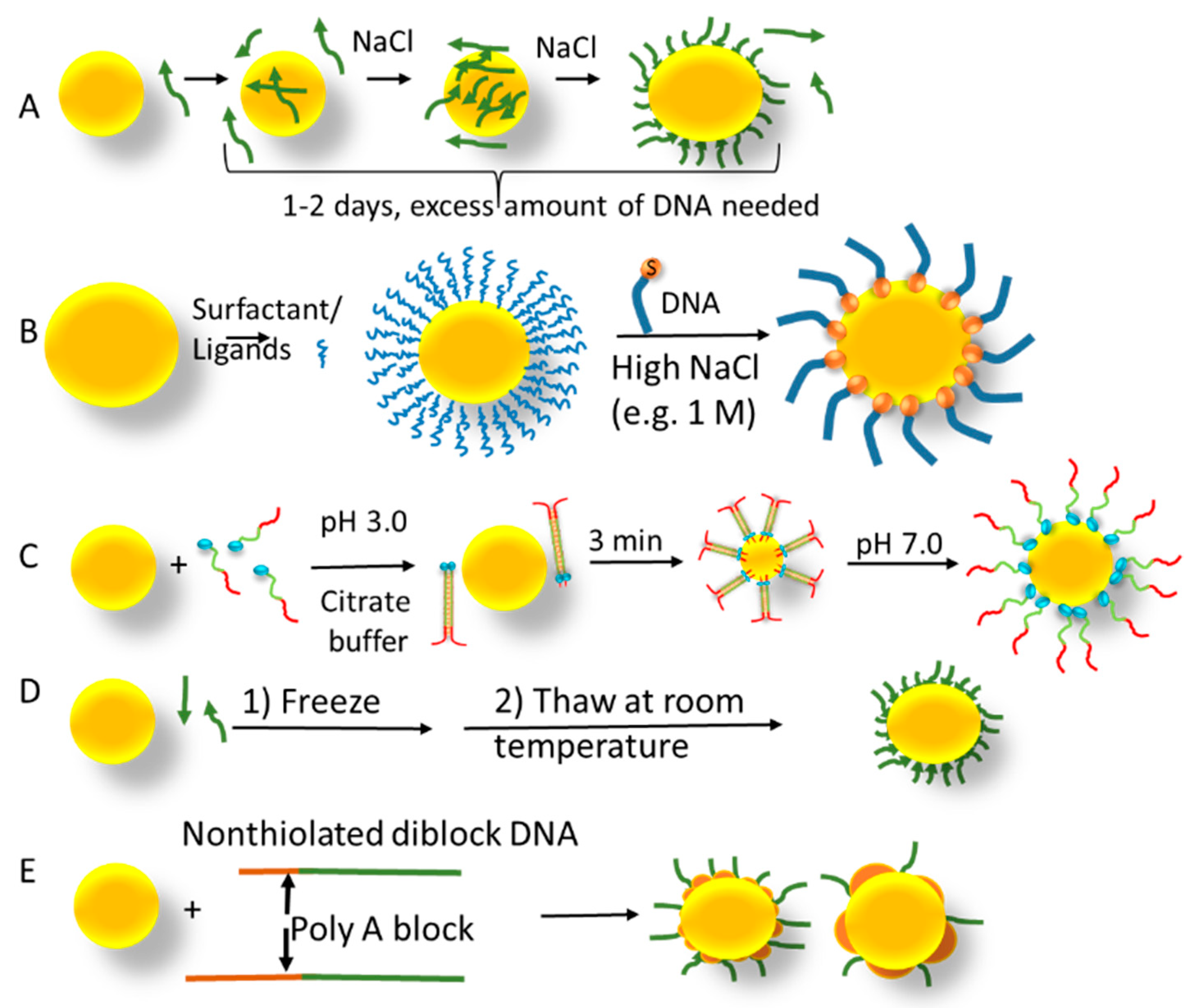 Pharmaceutics 16 00255 g010 Pharmaceutics 16 00255 g010