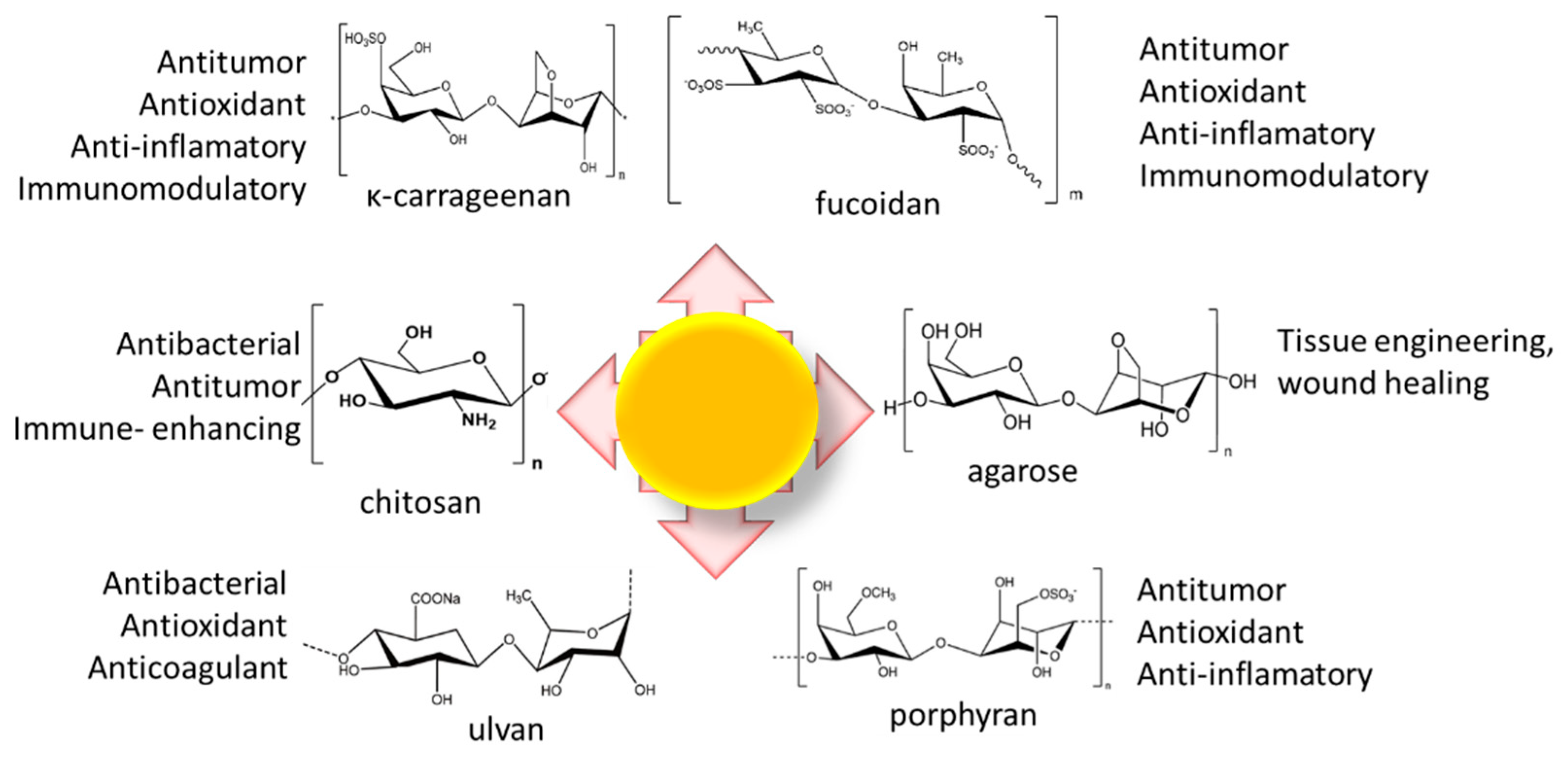 Pharmaceutics 16 00255 g011 Pharmaceutics 16 00255 g011