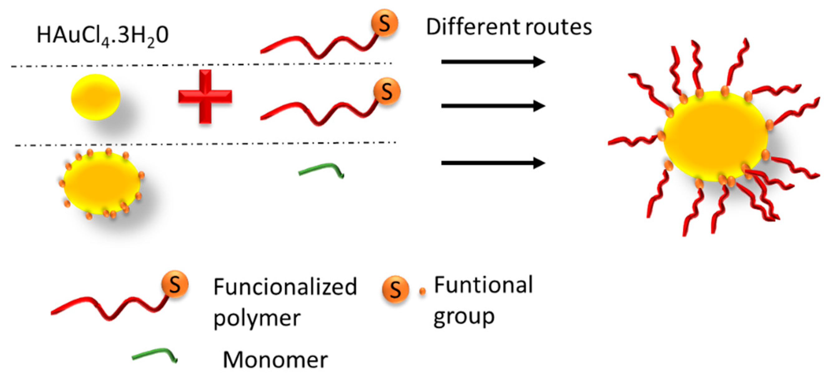 Pharmaceutics 16 00255 g012 Pharmaceutics 16 00255 g012