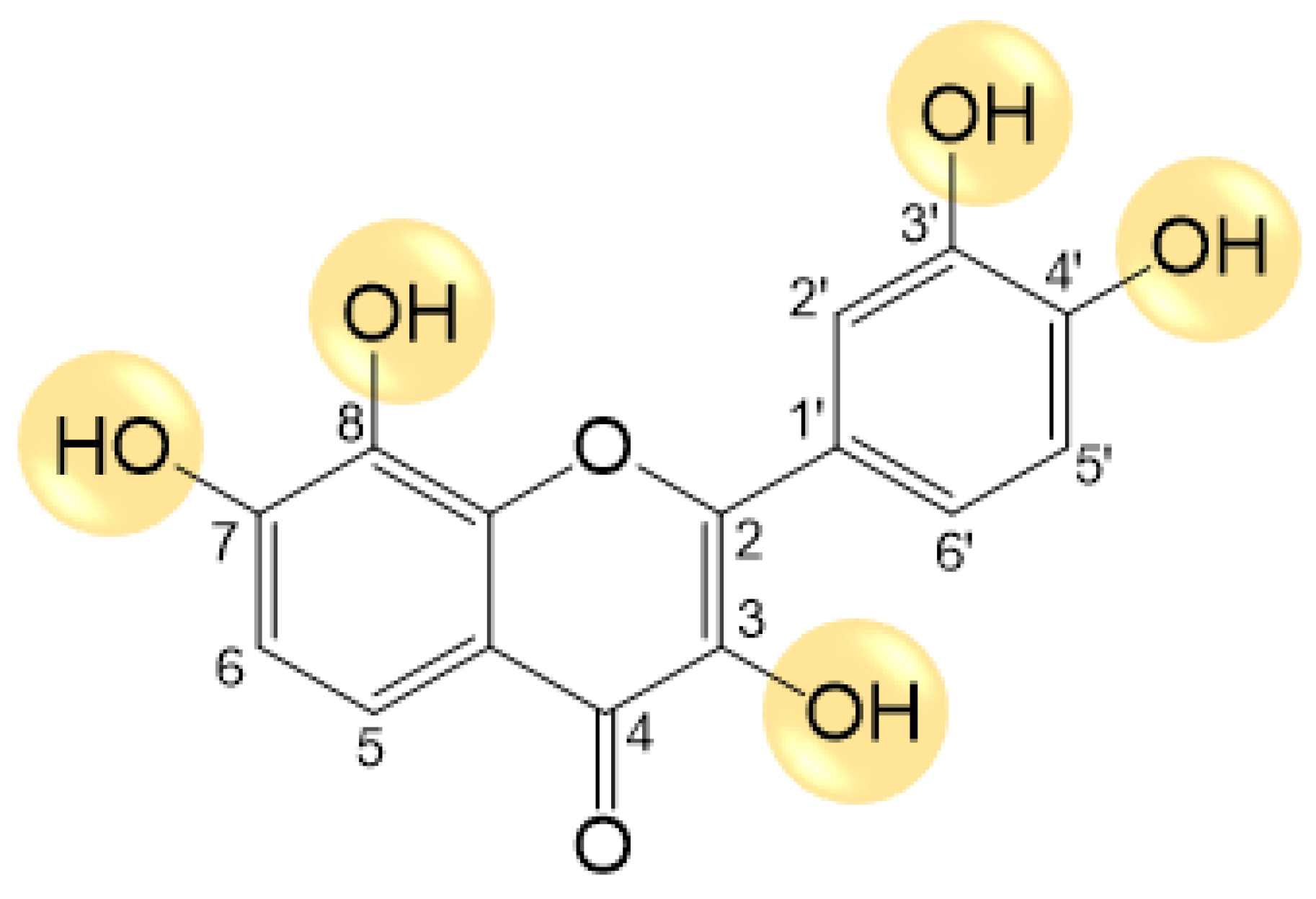 Pharmaceutics 16 00261 g001