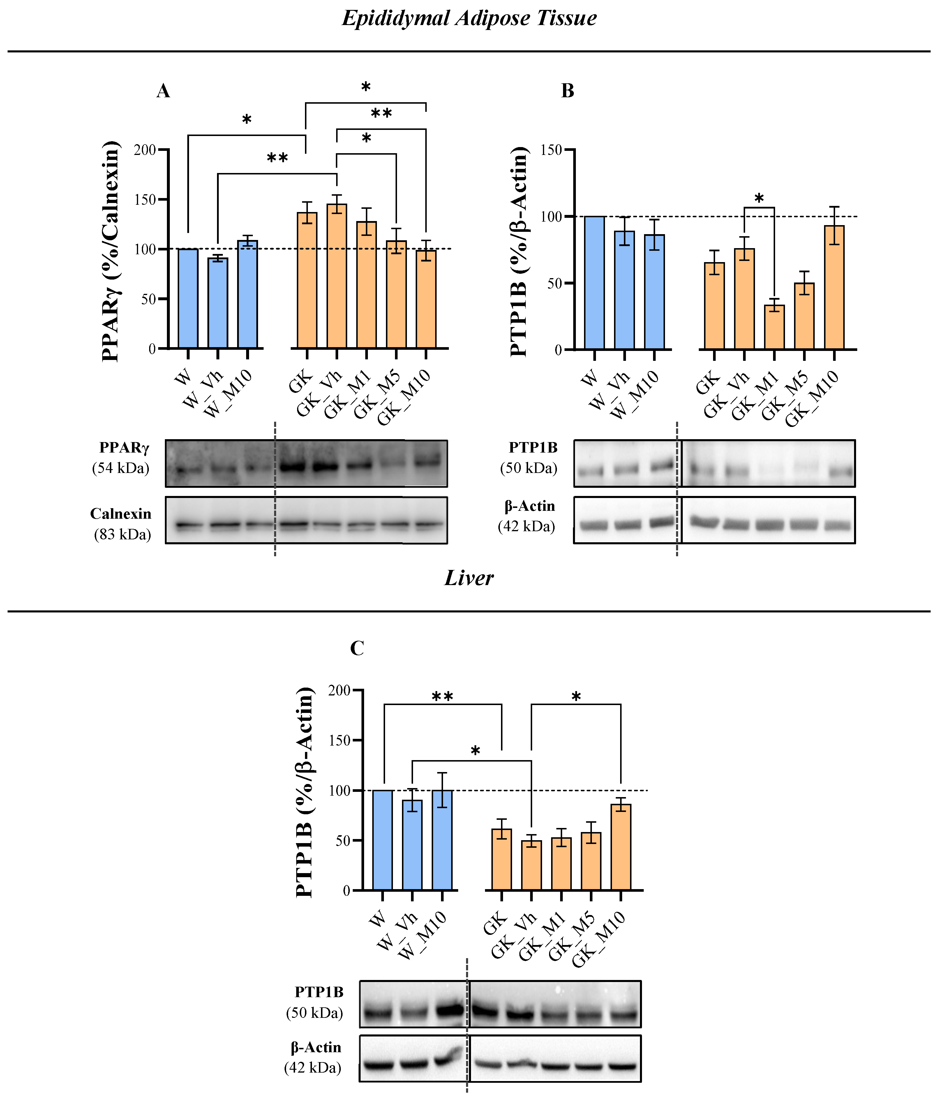 Pharmaceutics 16 00261 g005