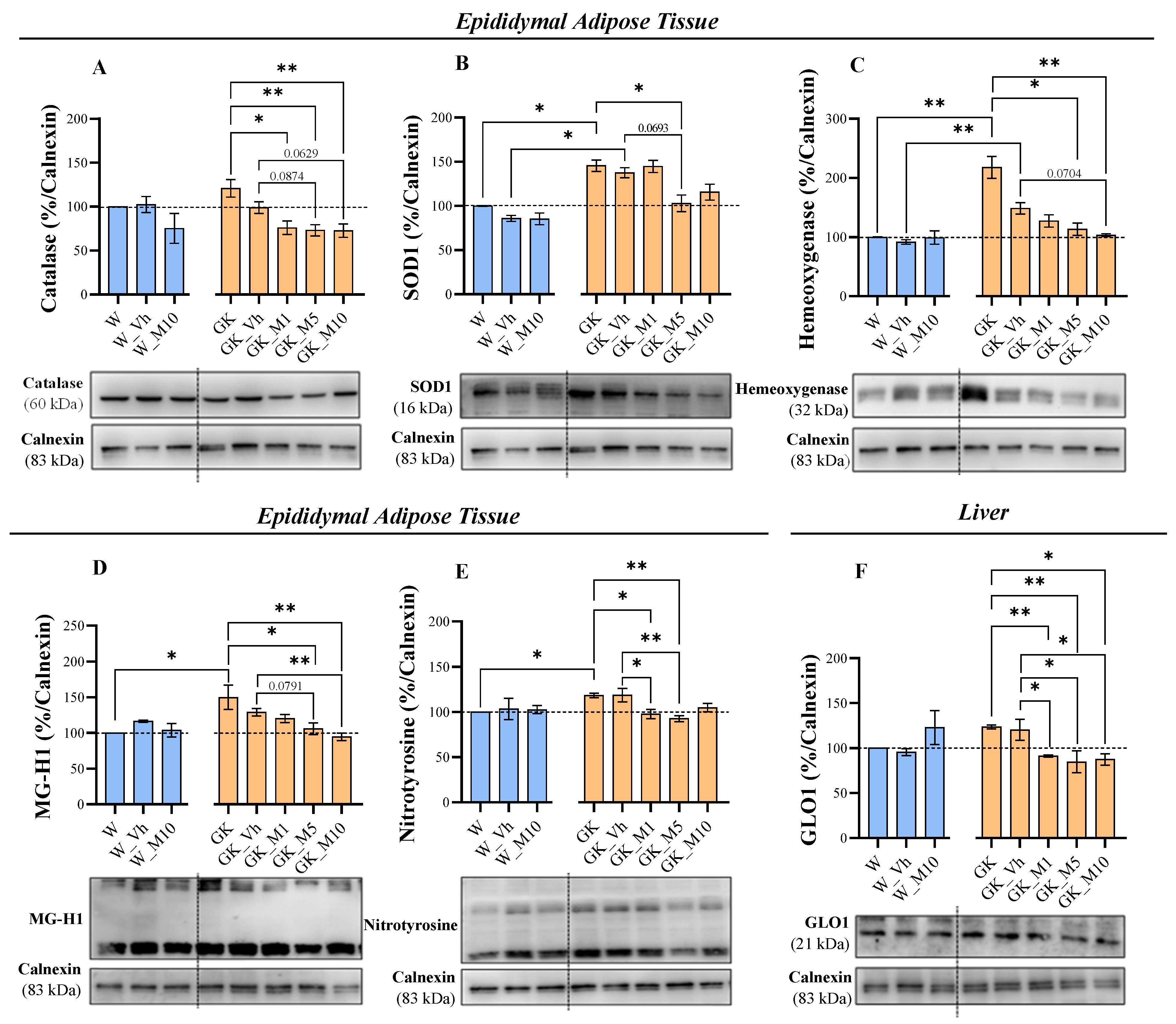 Pharmaceutics 16 00261 g006