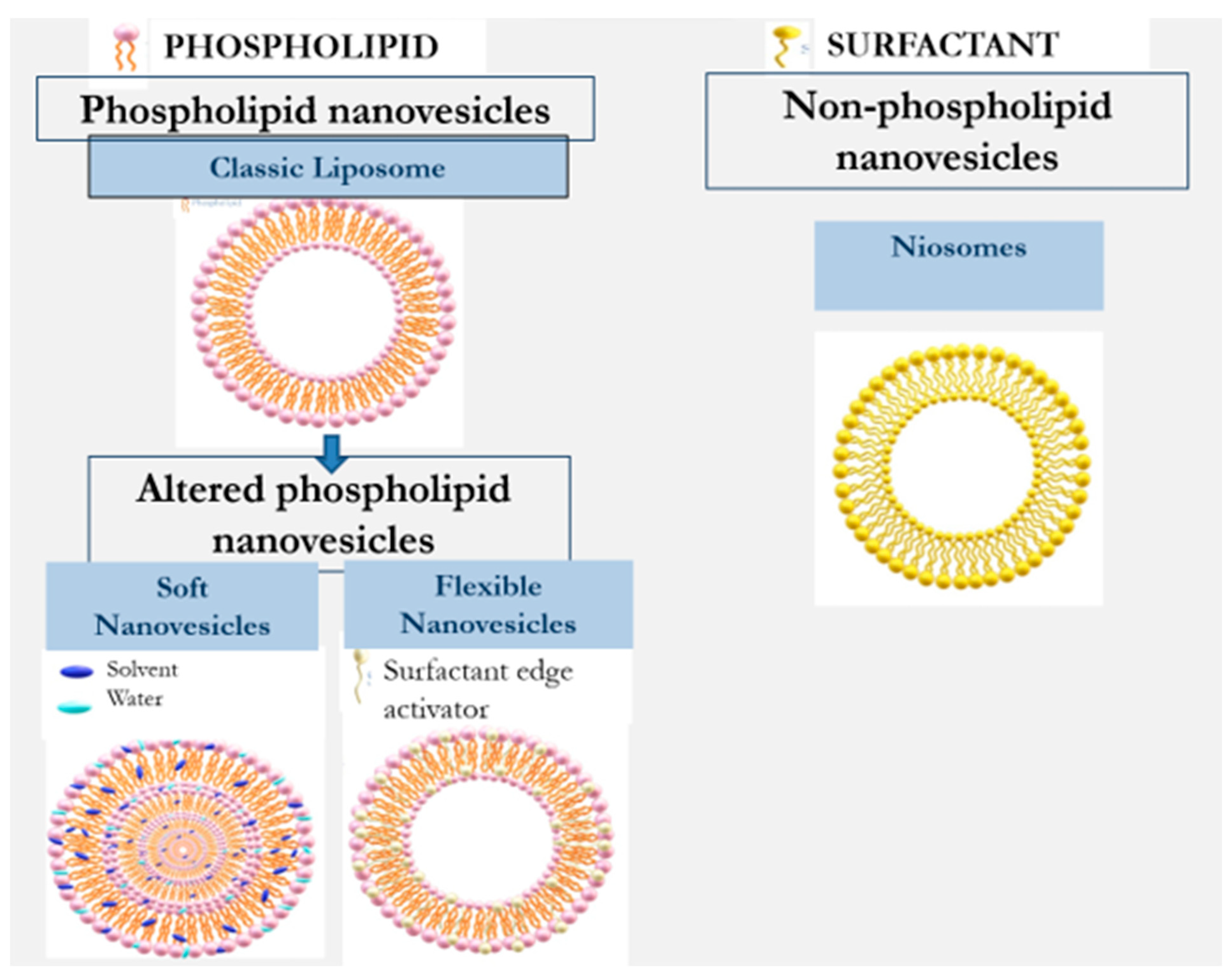 Pharmaceutics 16 00267 g002