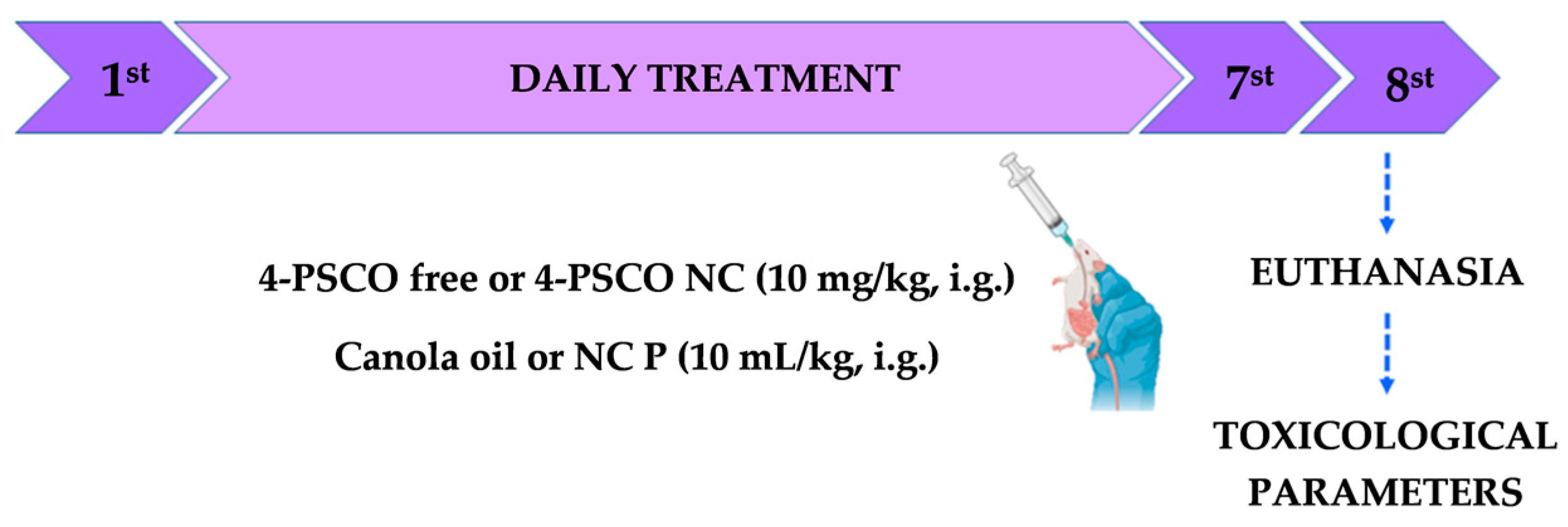 Pharmaceutics 16 00269 g003 Pharmaceutics 16 00269 g003