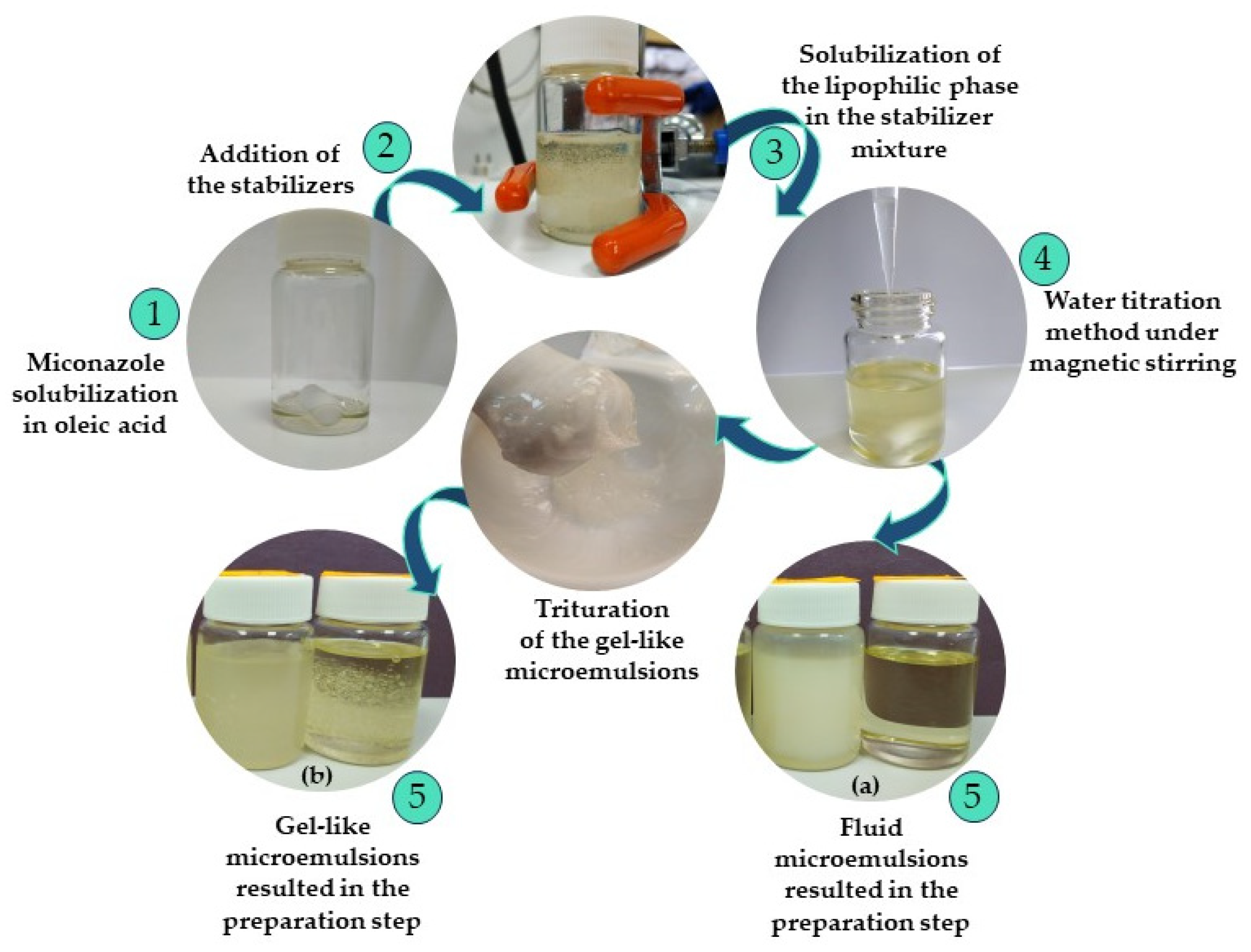 Pharmaceutics 16 00271 g001