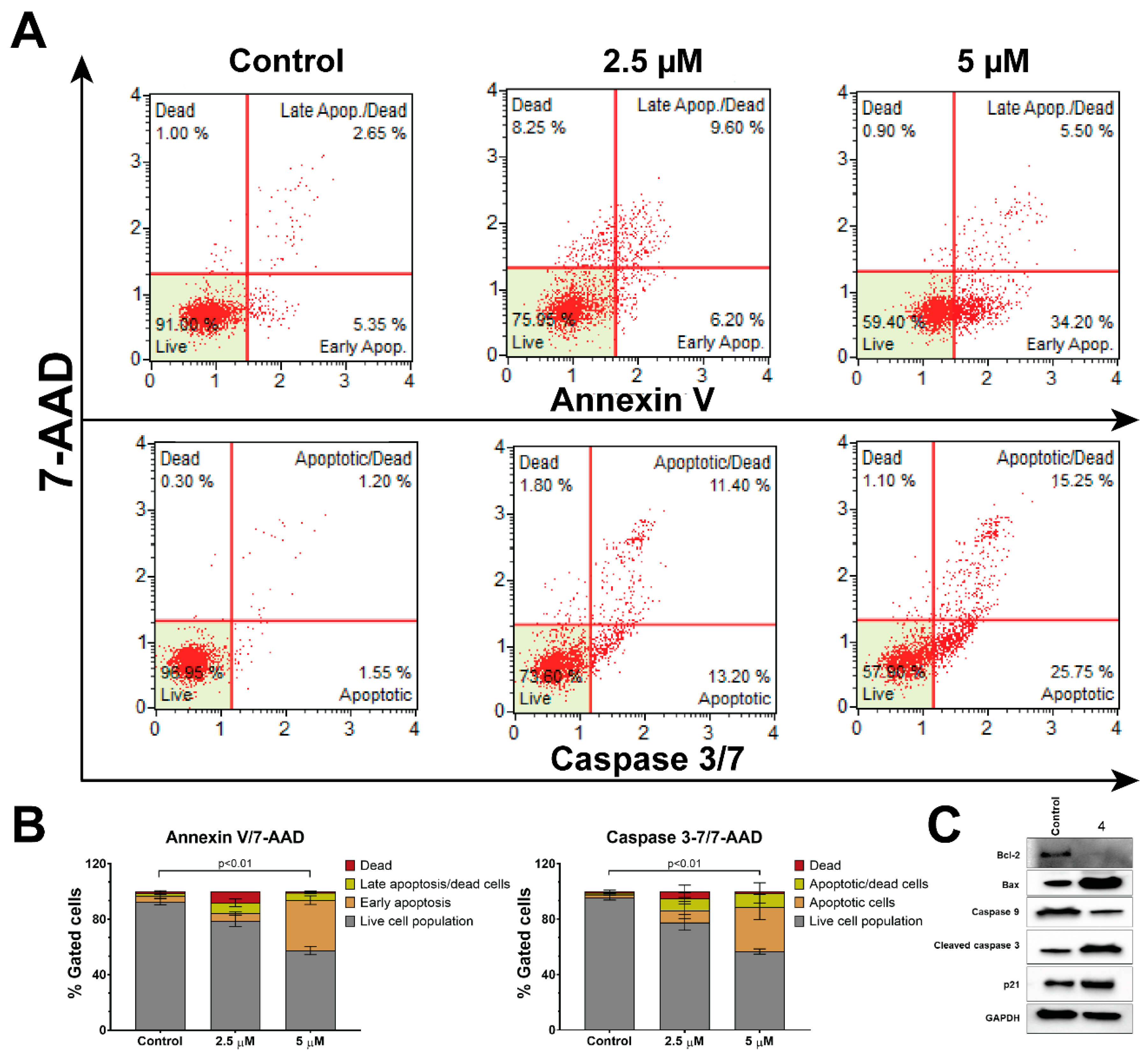 Pharmaceutics 16 00272 g004
