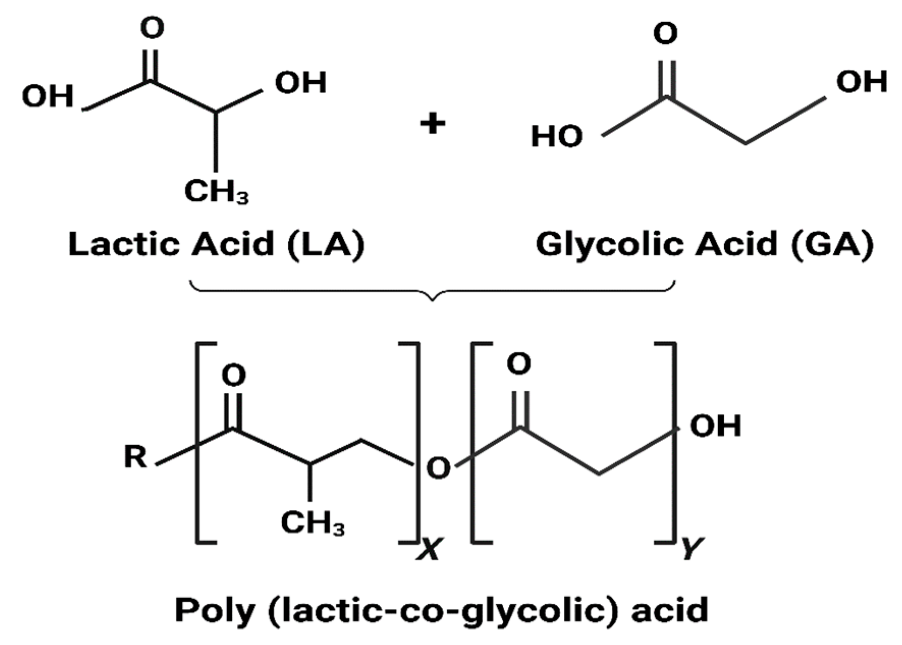 Pharmaceutics 16 00273 g001