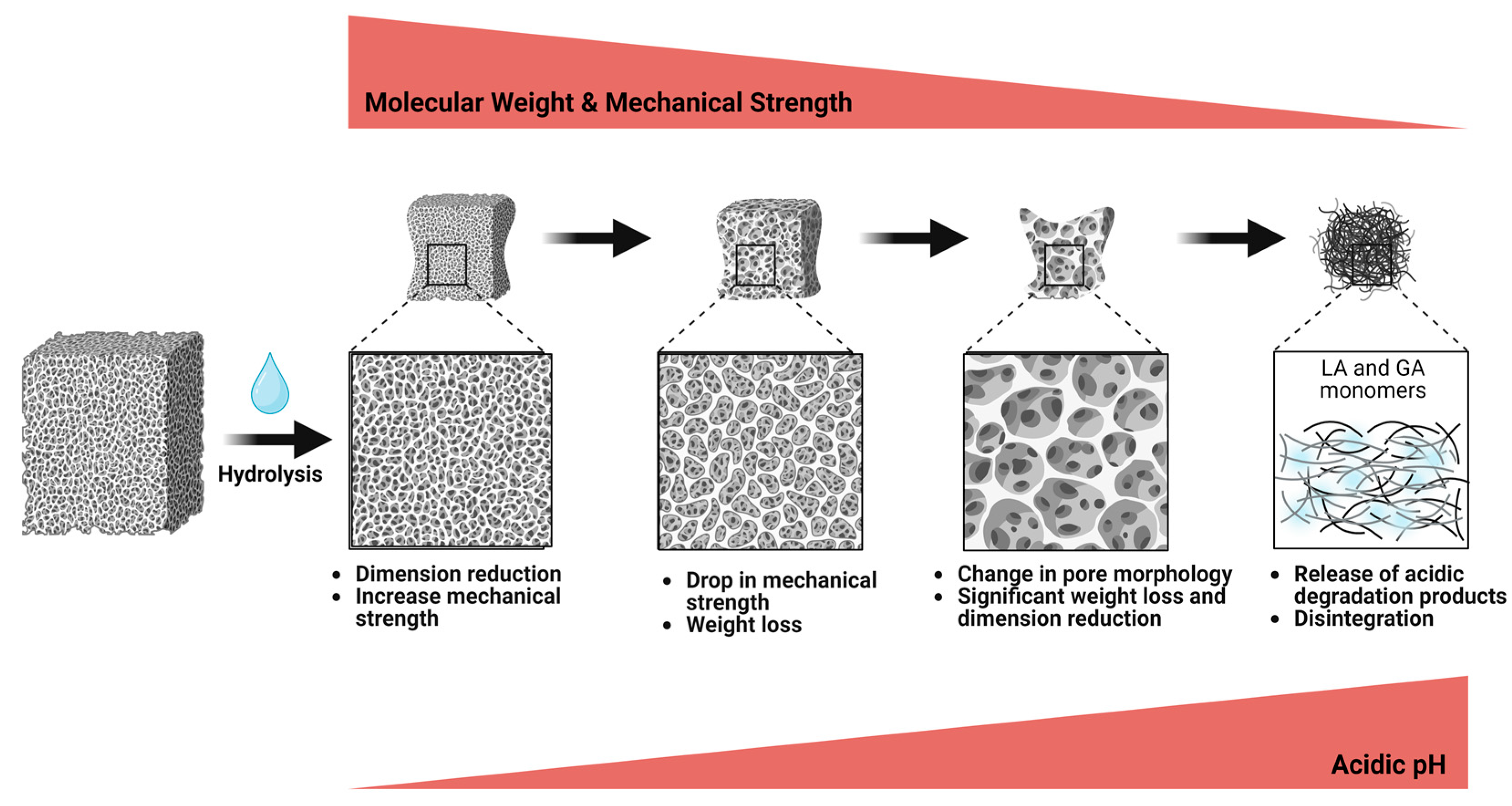 Pharmaceutics 16 00273 g002