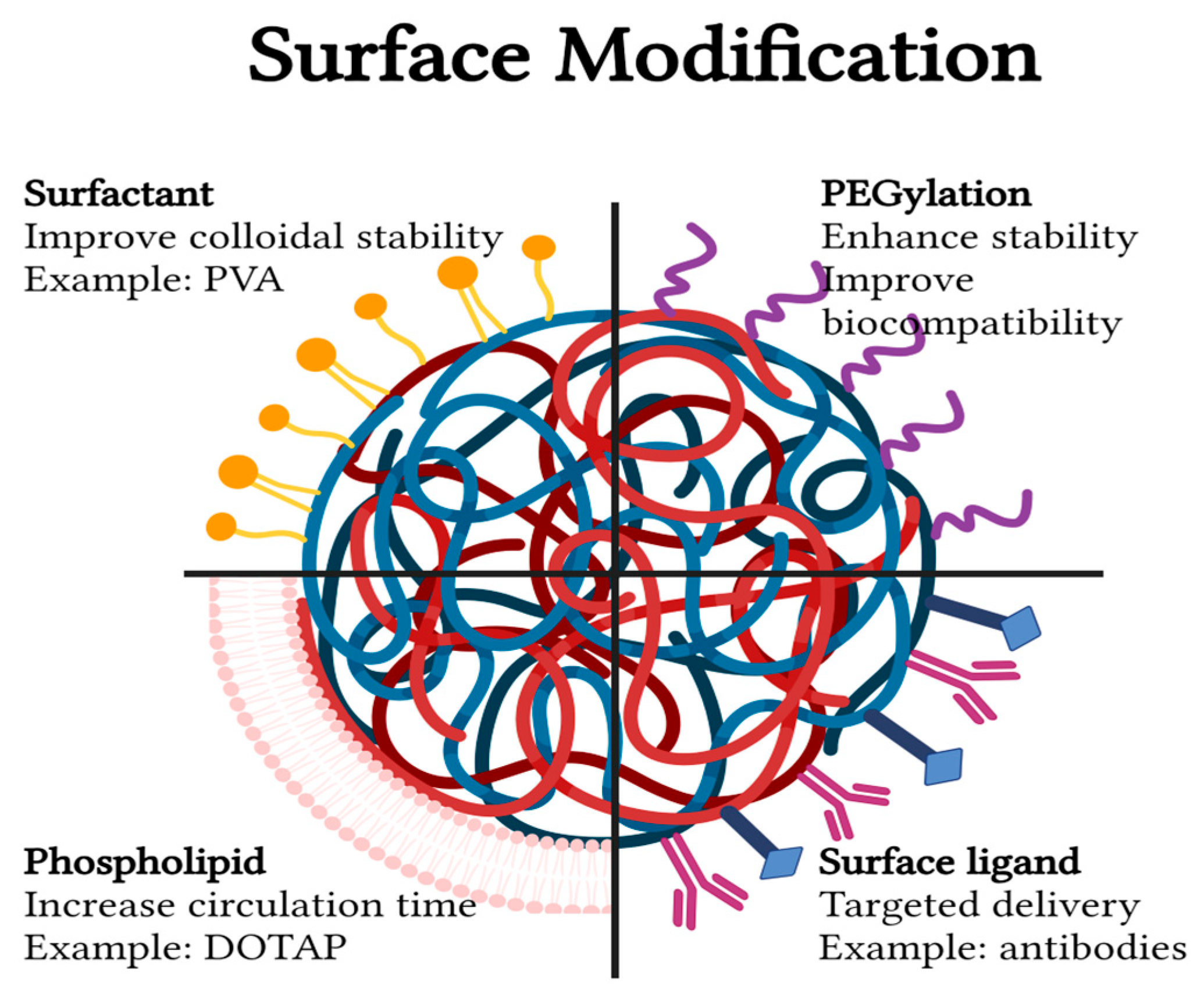 Pharmaceutics 16 00273 g004