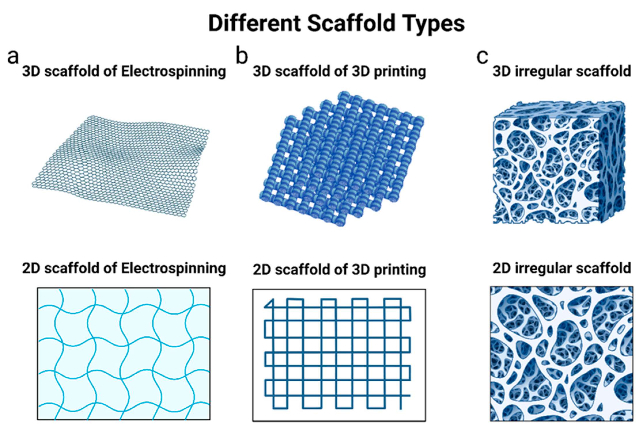 Pharmaceutics 16 00273 g006