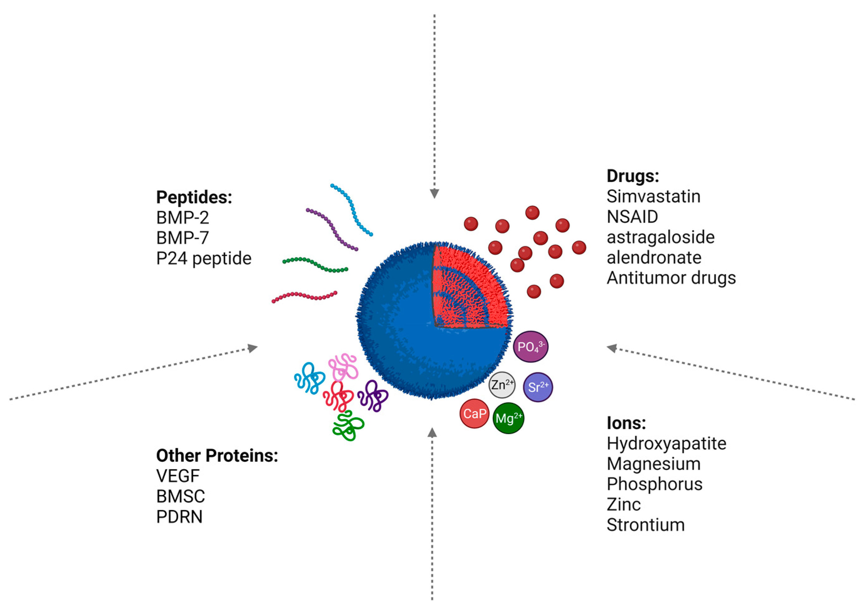 Pharmaceutics 16 00273 g007