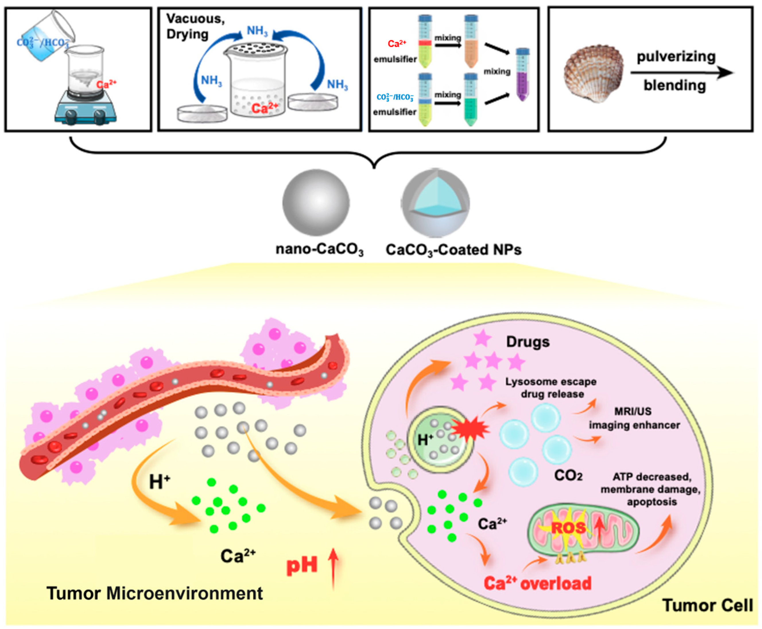 Pharmaceutics 16 00275 g001 Pharmaceutics 16 00275 g001