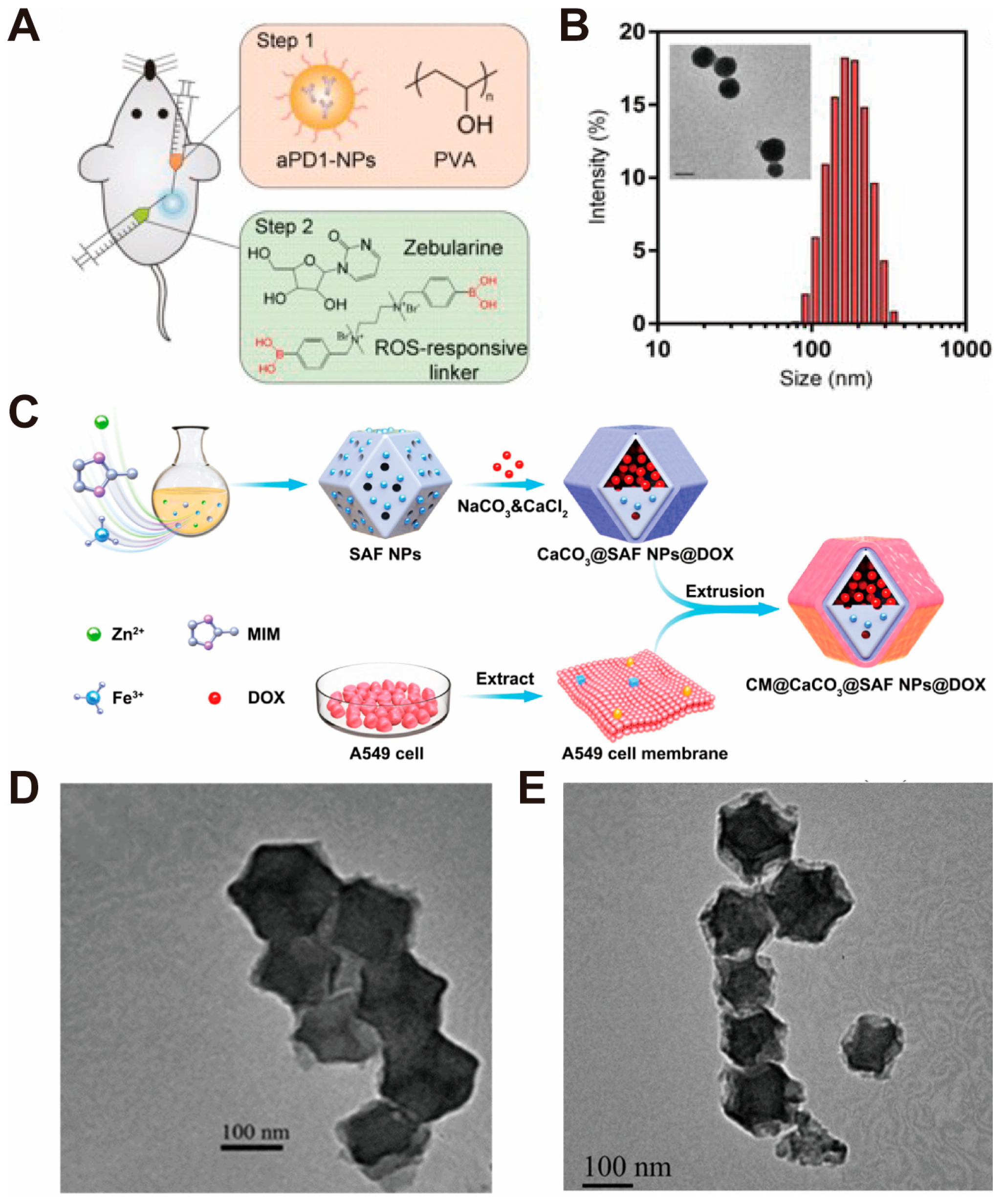 Pharmaceutics 16 00275 g002 Pharmaceutics 16 00275 g002