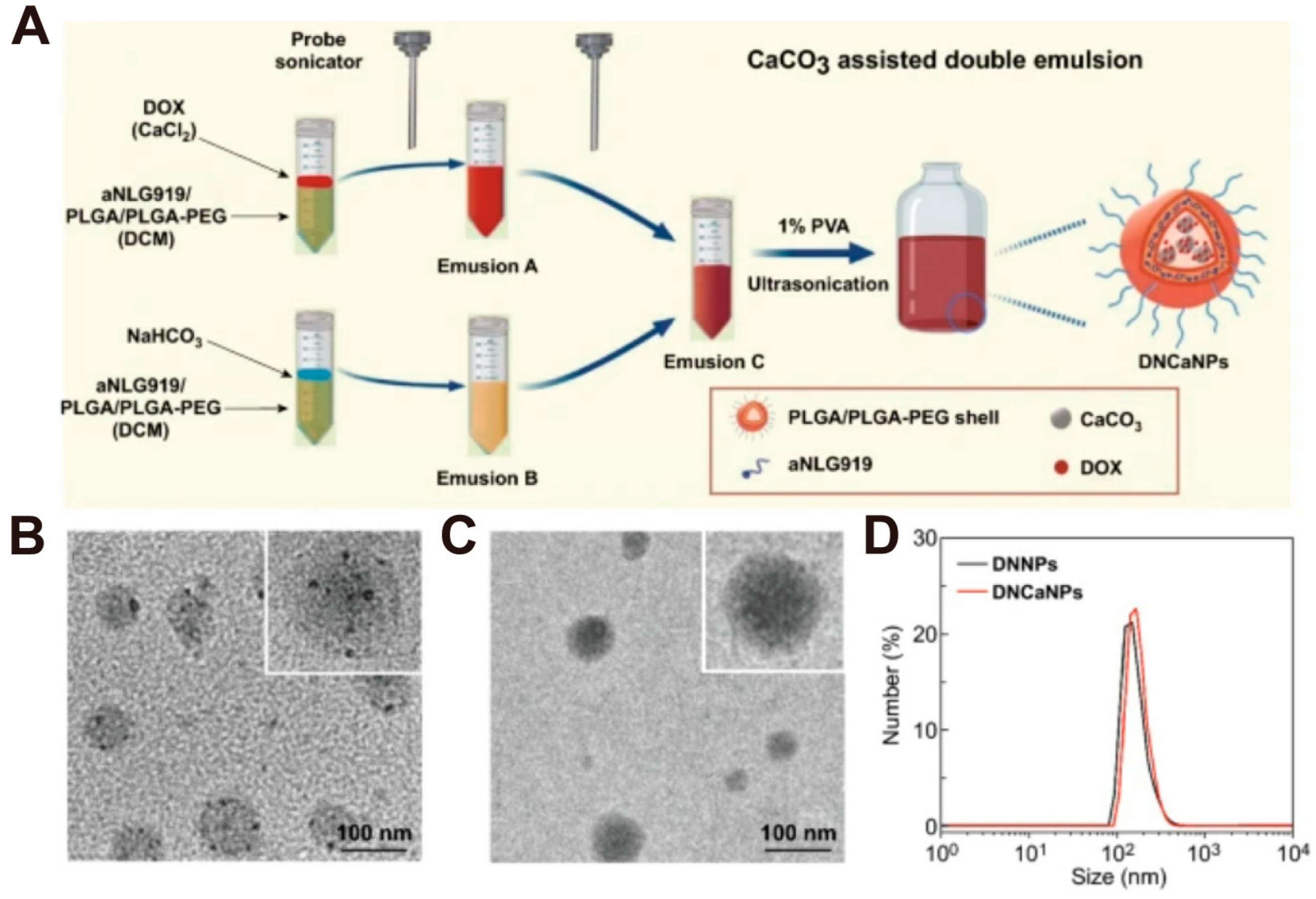 Pharmaceutics 16 00275 g004 Pharmaceutics 16 00275 g004