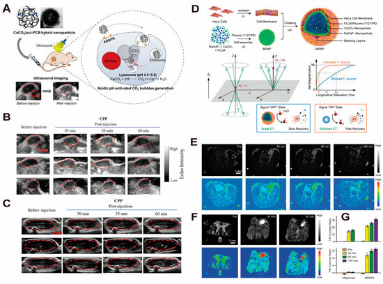 Pharmaceutics 16 00275 g007
