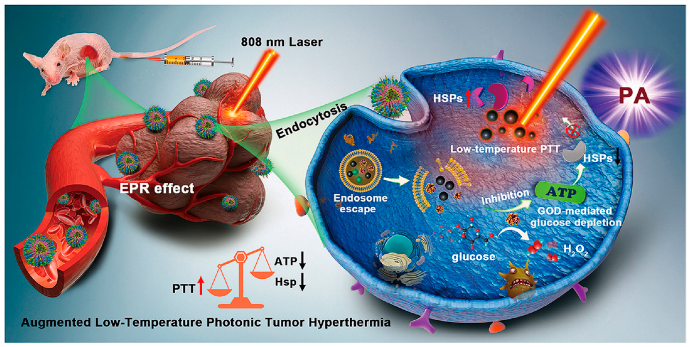 Pharmaceutics 16 00275 g009 Pharmaceutics 16 00275 g009